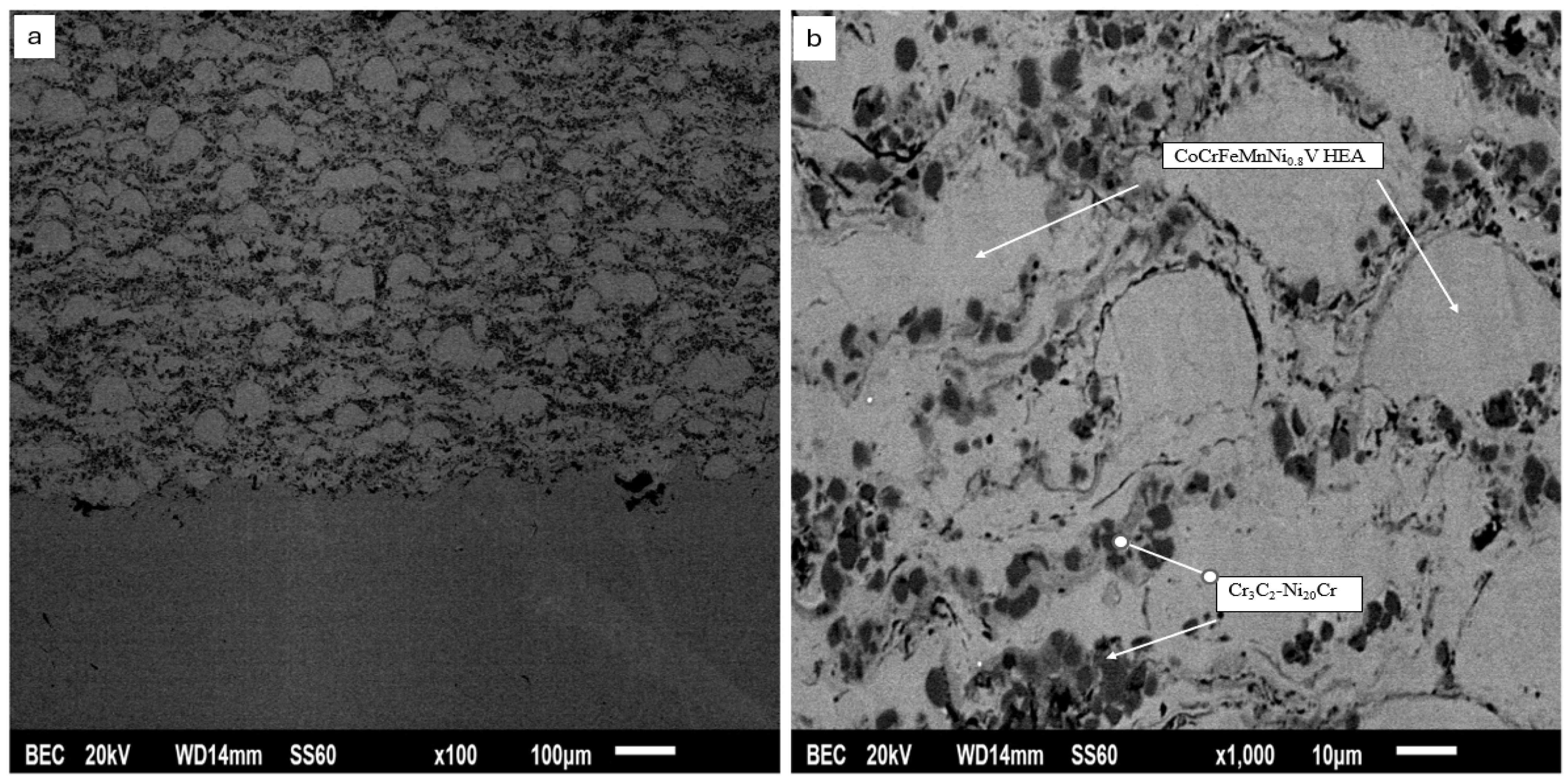 Coatings 14 00402 g006