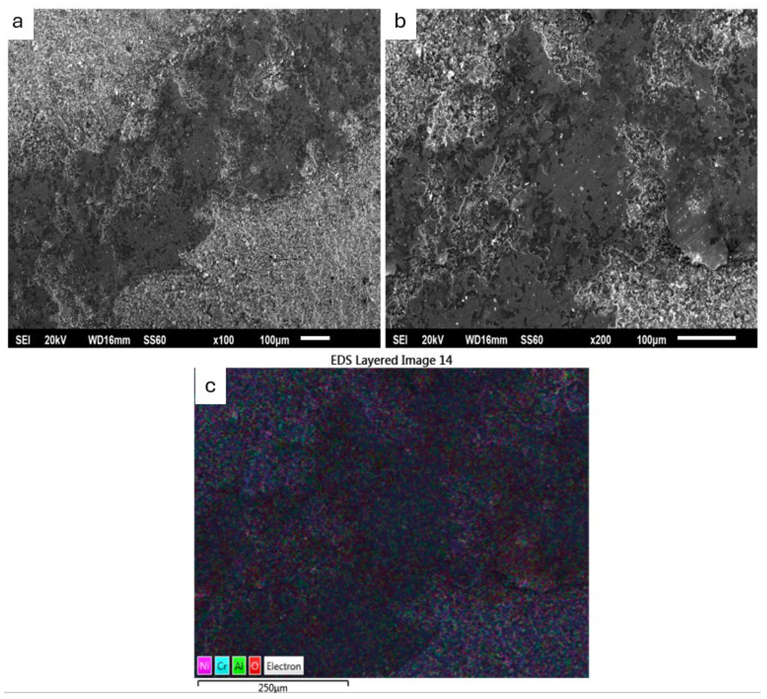 Coatings 14 00402 g009