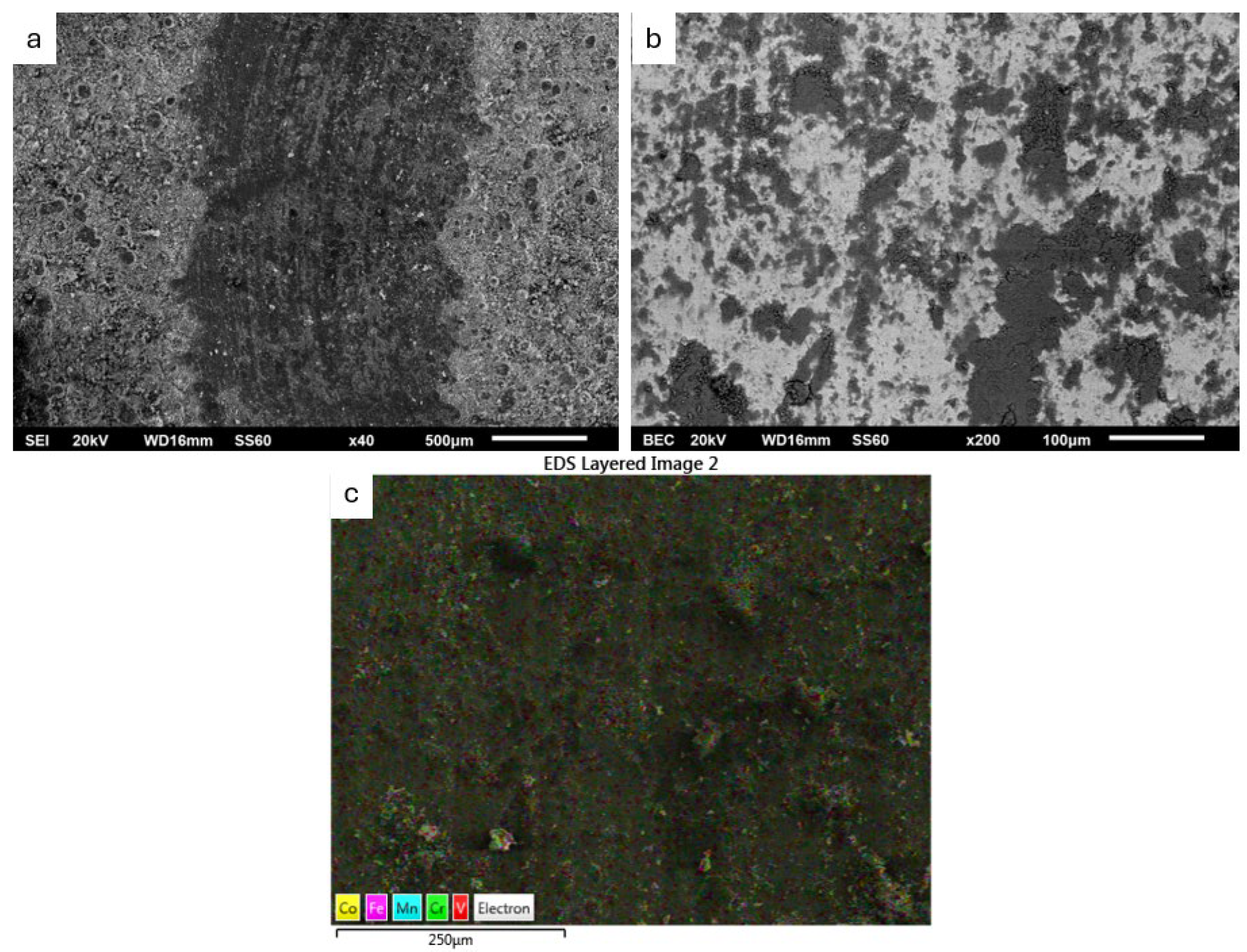 Coatings 14 00402 g011