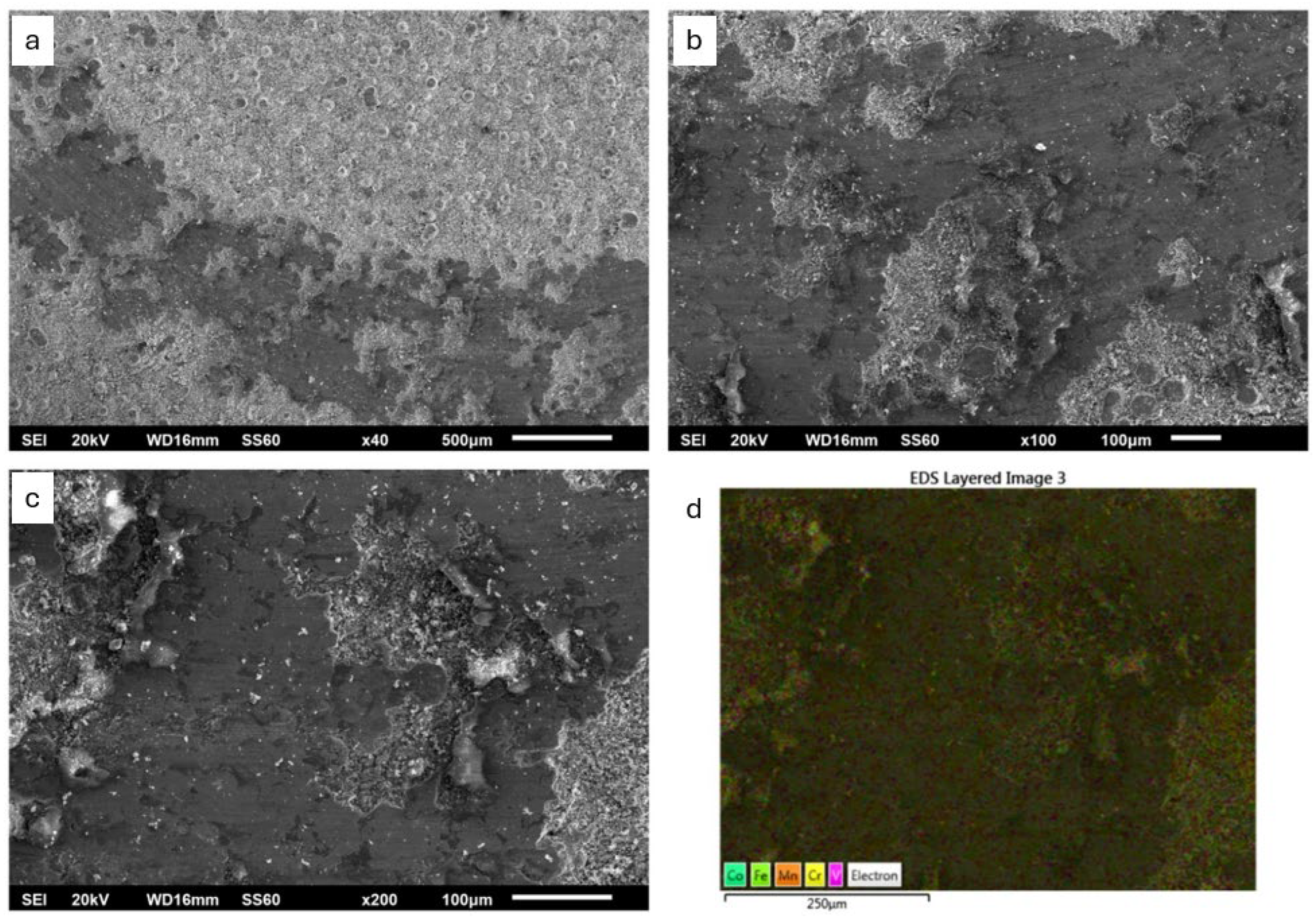 Coatings 14 00402 g013