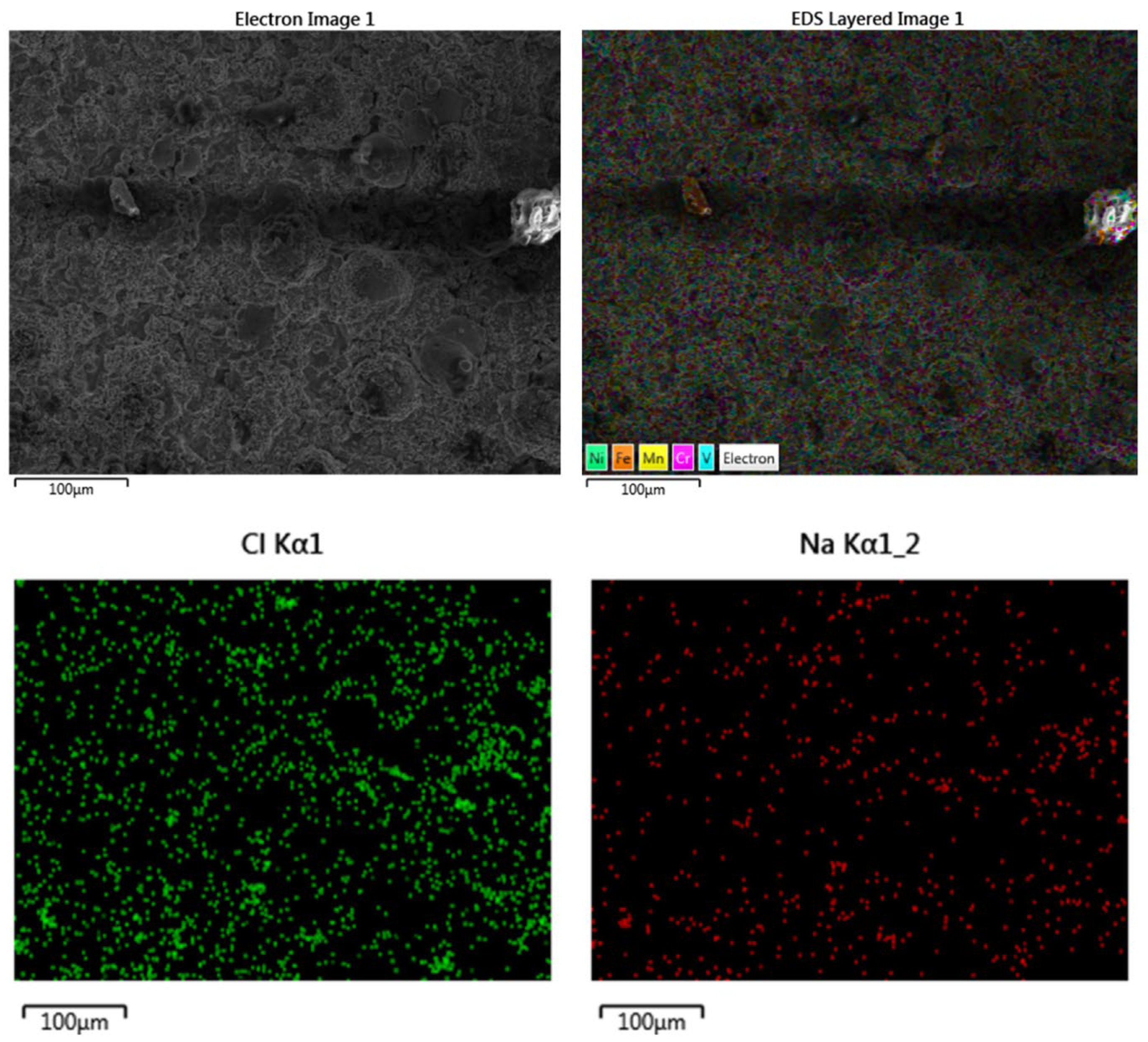 Coatings 14 00402 g017