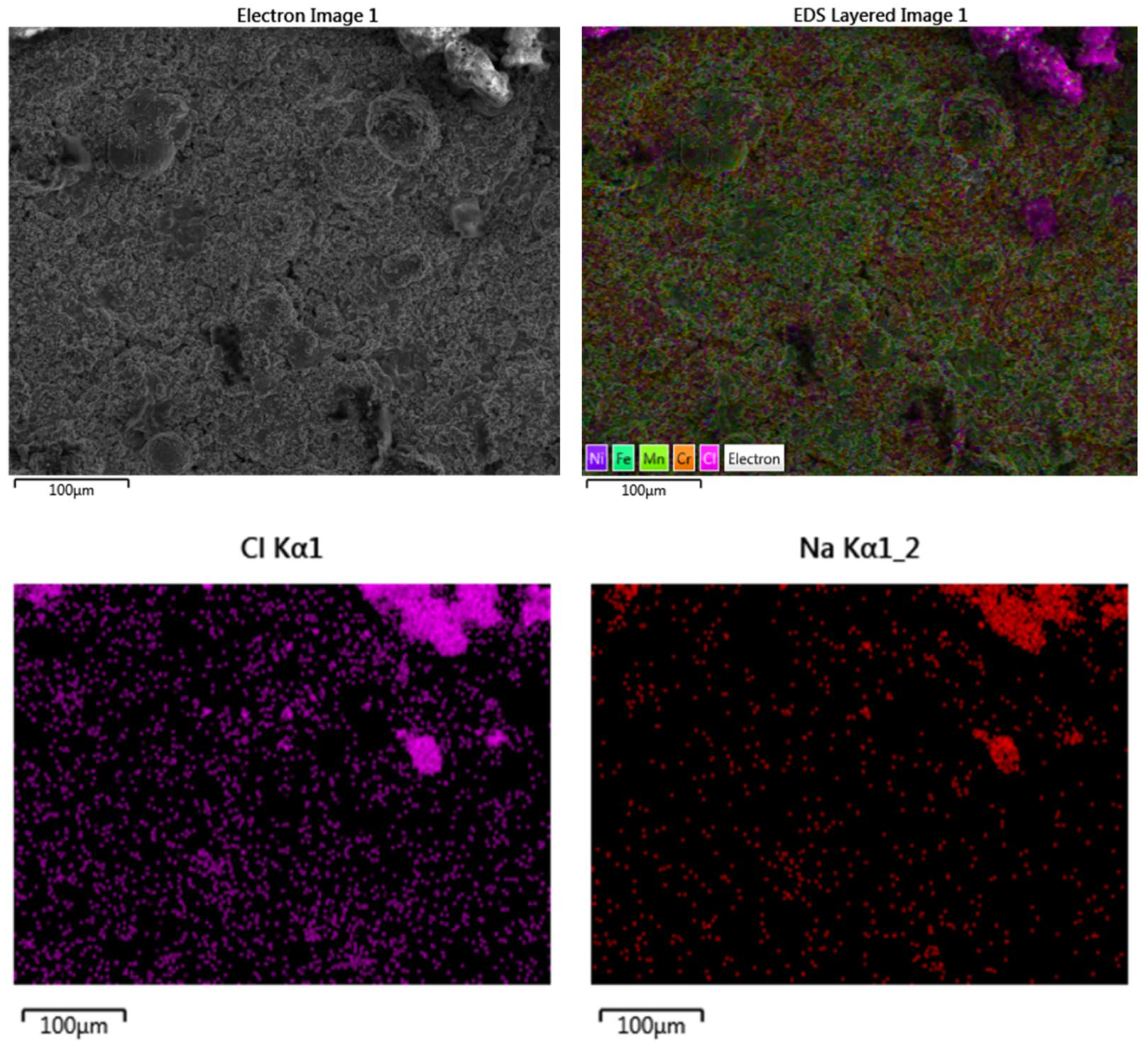 Coatings 14 00402 g019