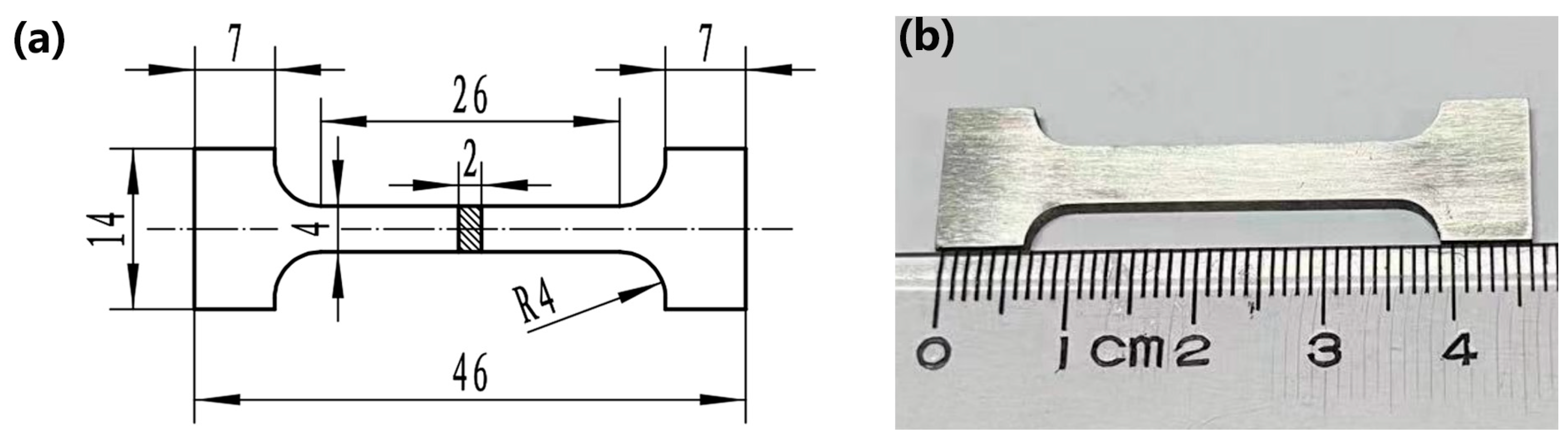 Coatings 14 00403 g003