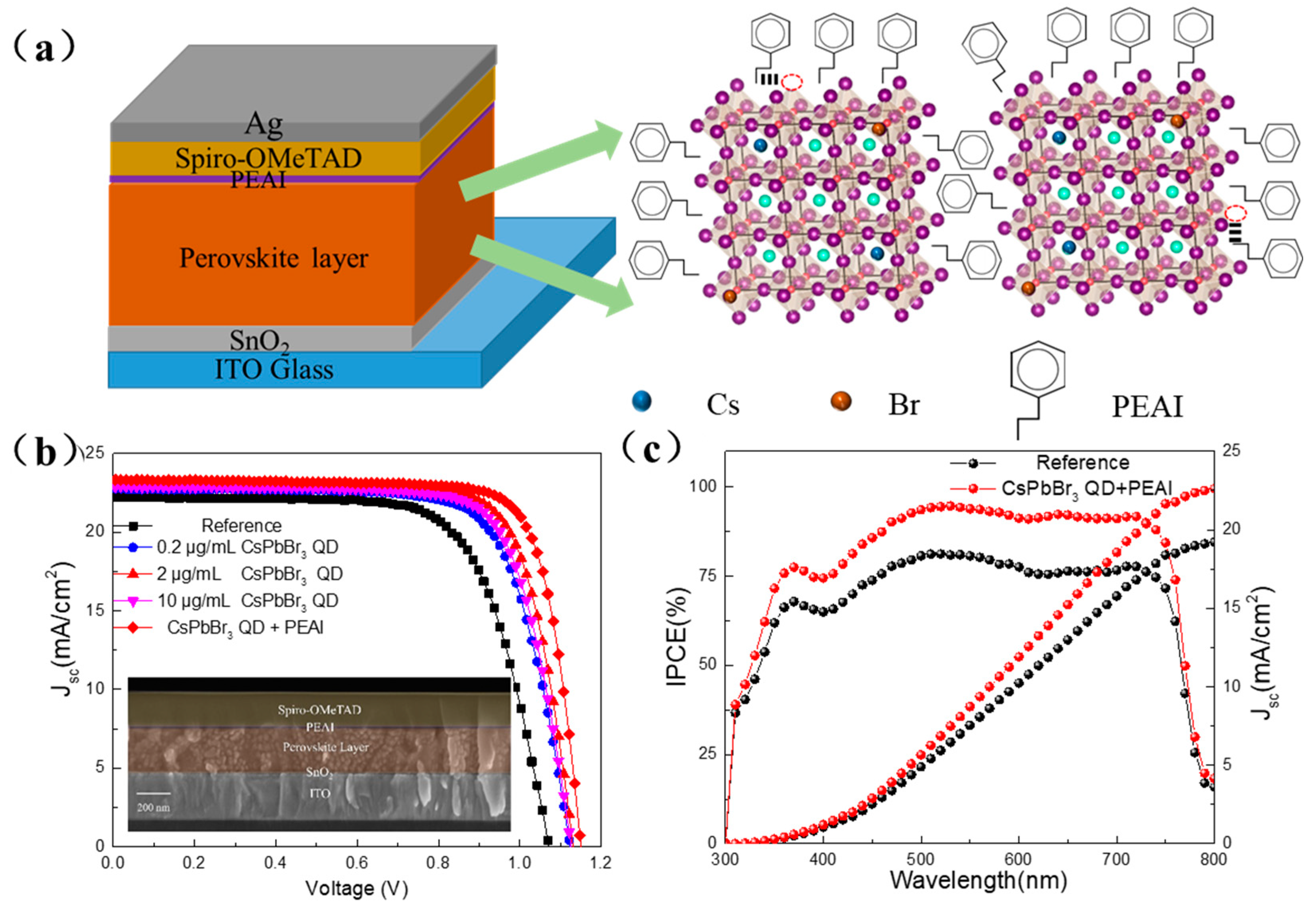 Coatings 14 00409 g007
