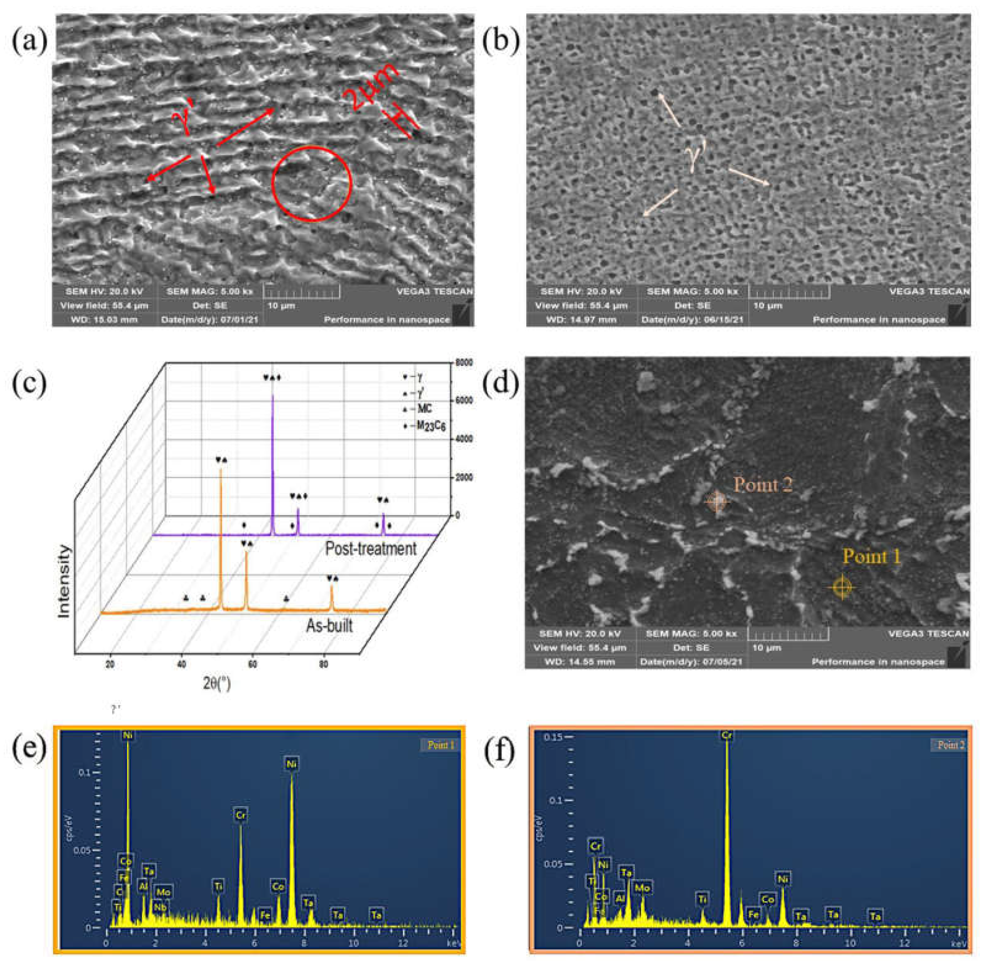 Coatings 14 00414 g012
