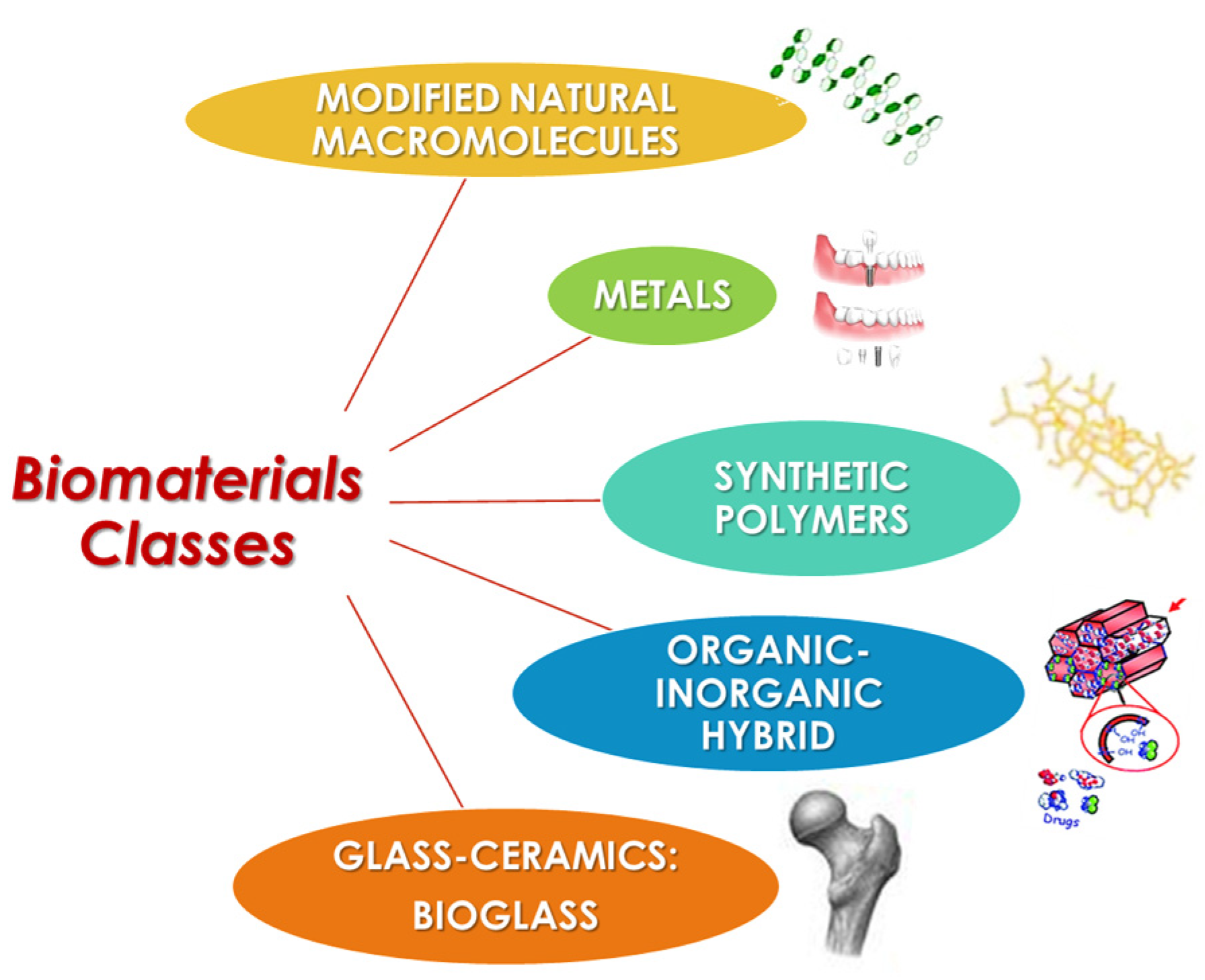 Coatings 14 00425 g001