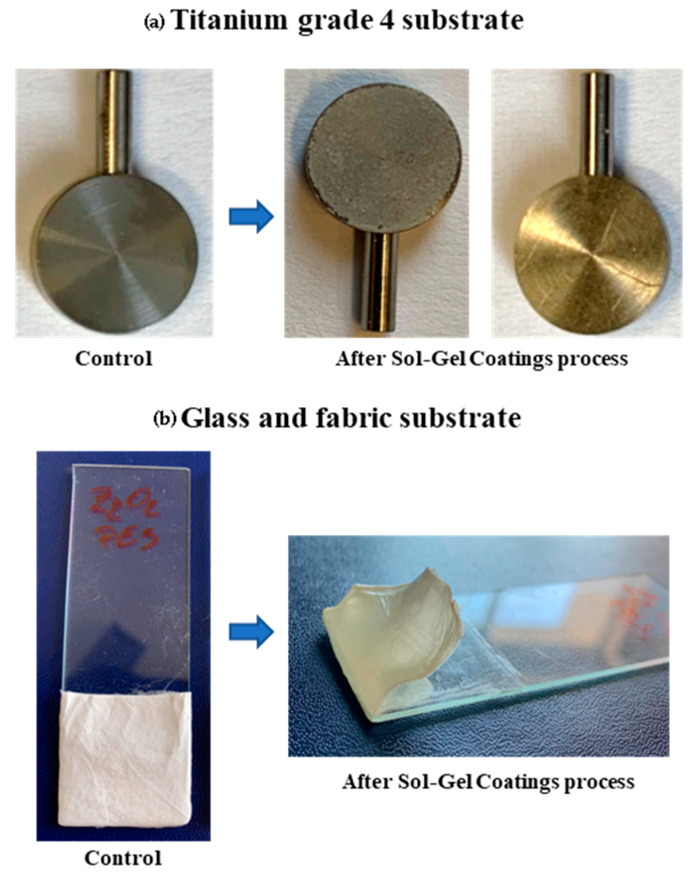 Coatings 14 00425 g006