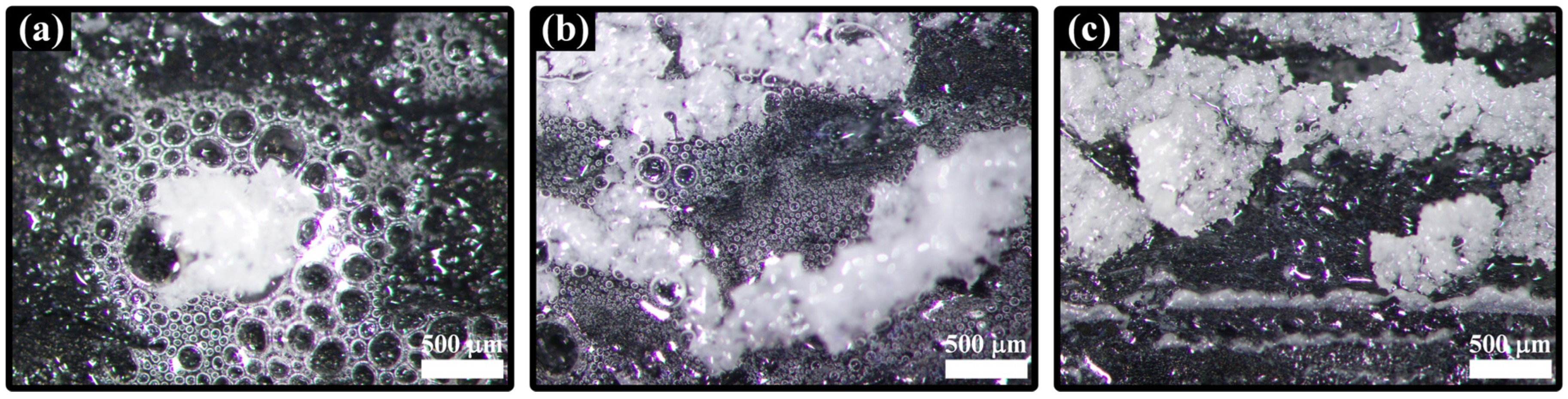 Coatings 14 00426 g005