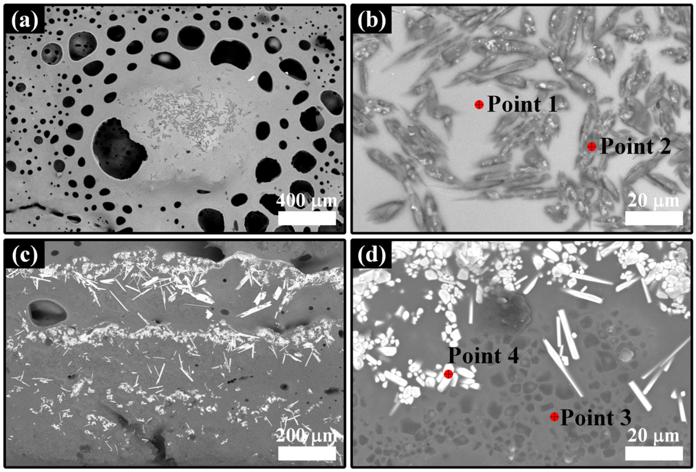Coatings 14 00426 g008