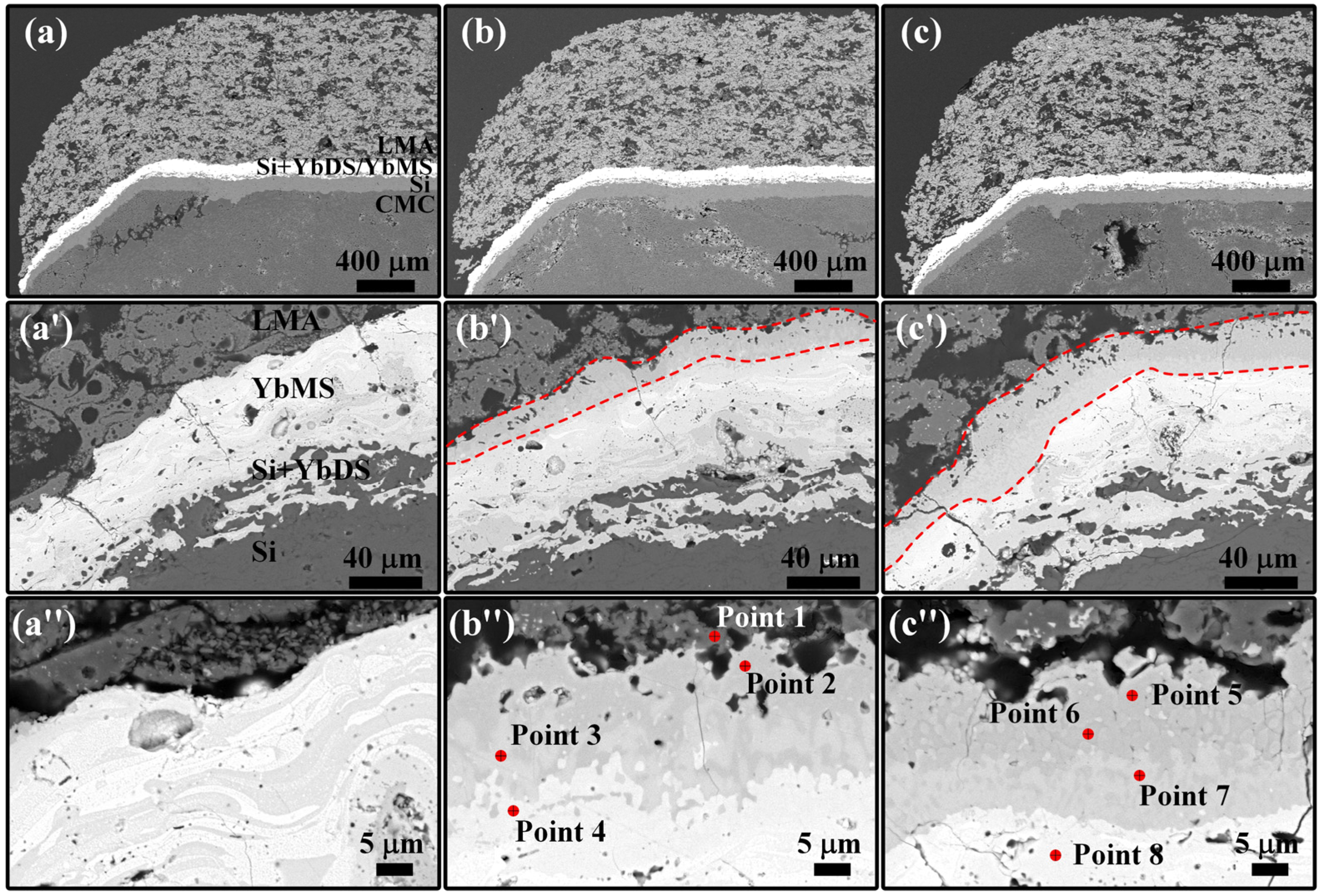 Coatings 14 00426 g011