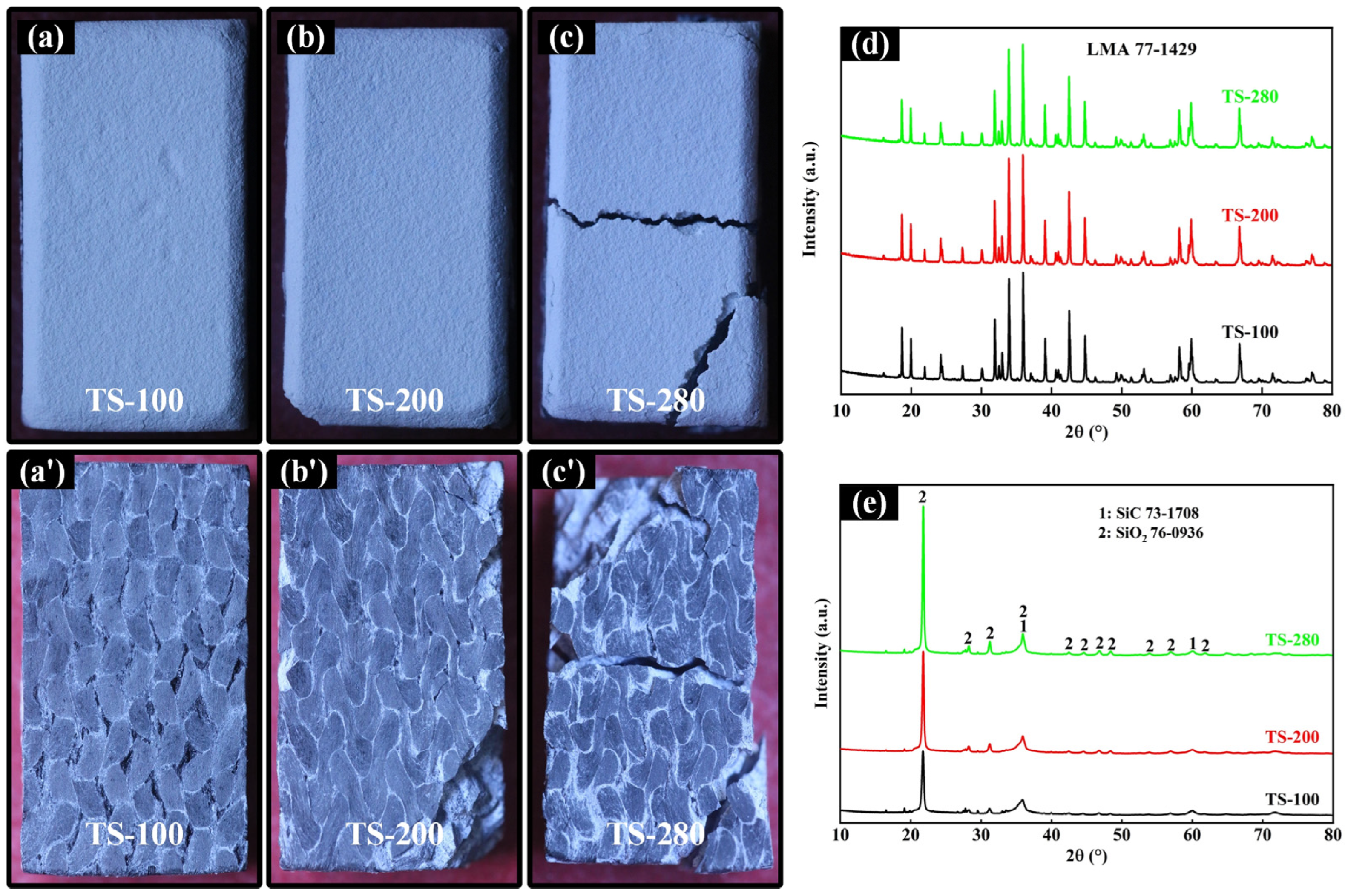 Coatings 14 00426 g013