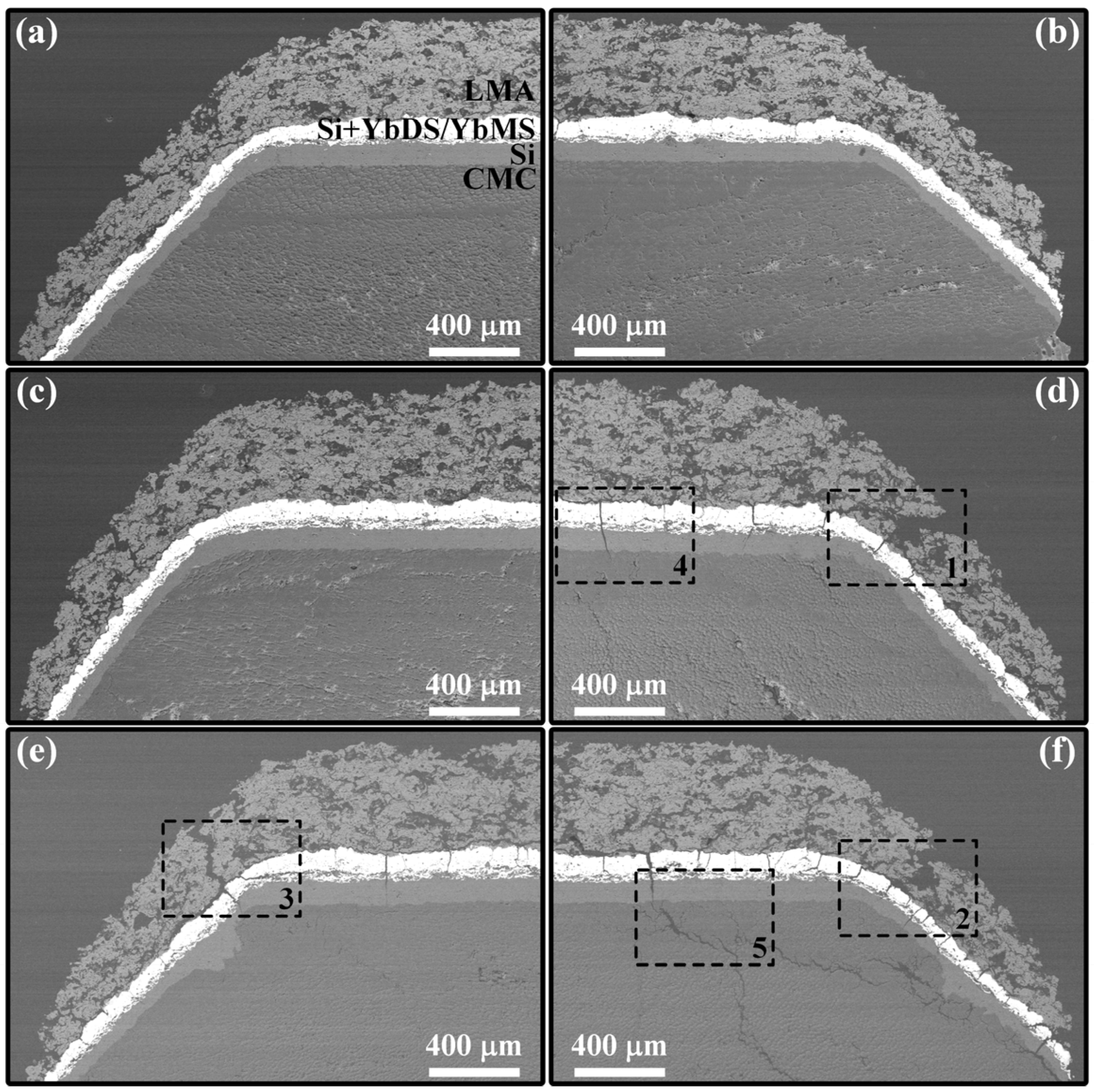 Coatings 14 00426 g015