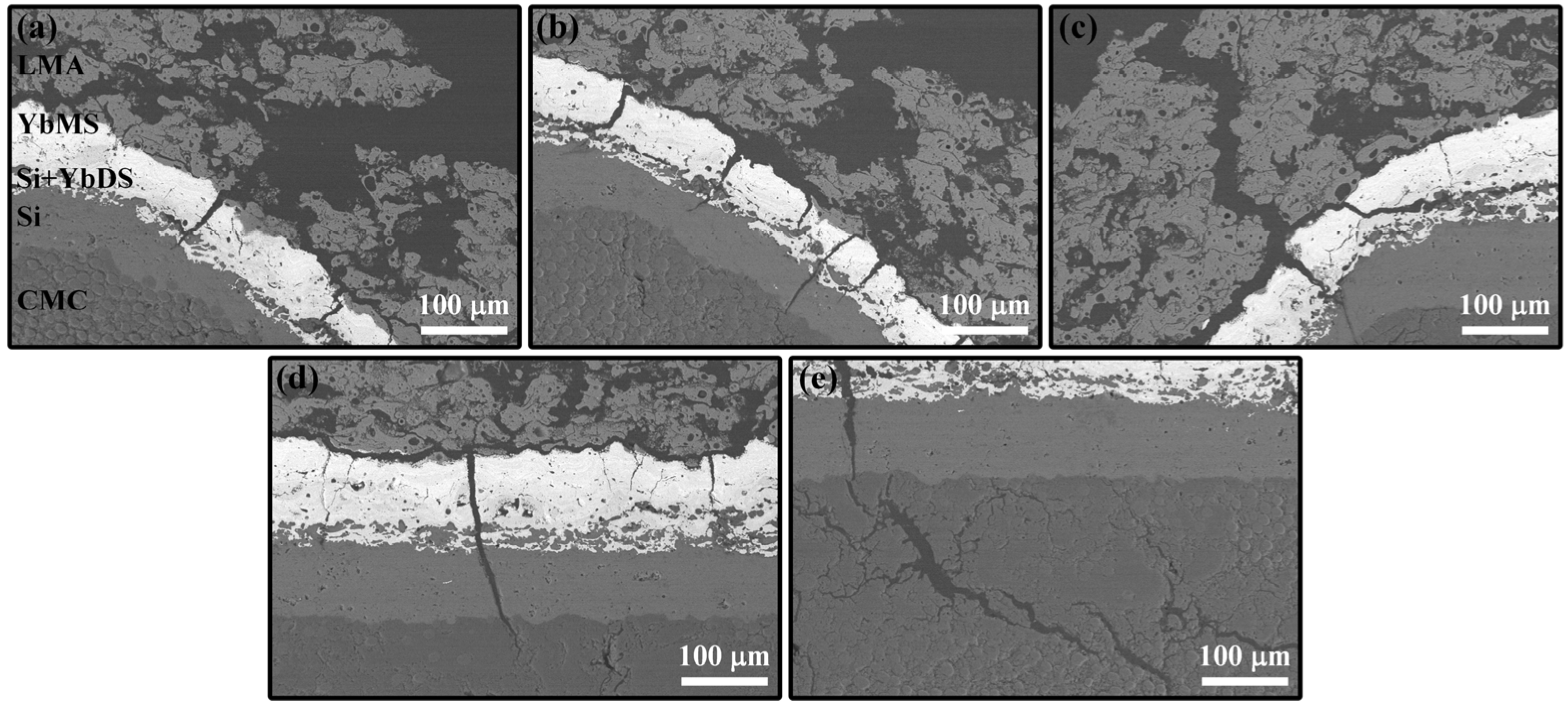 Coatings 14 00426 g016