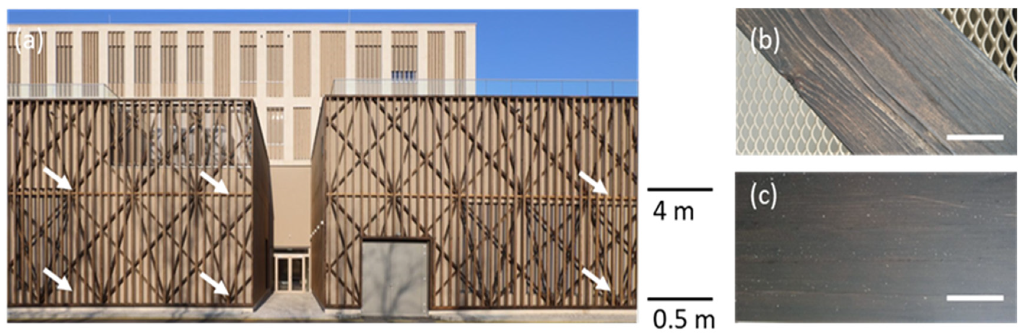 Coatings 14 00430 g001