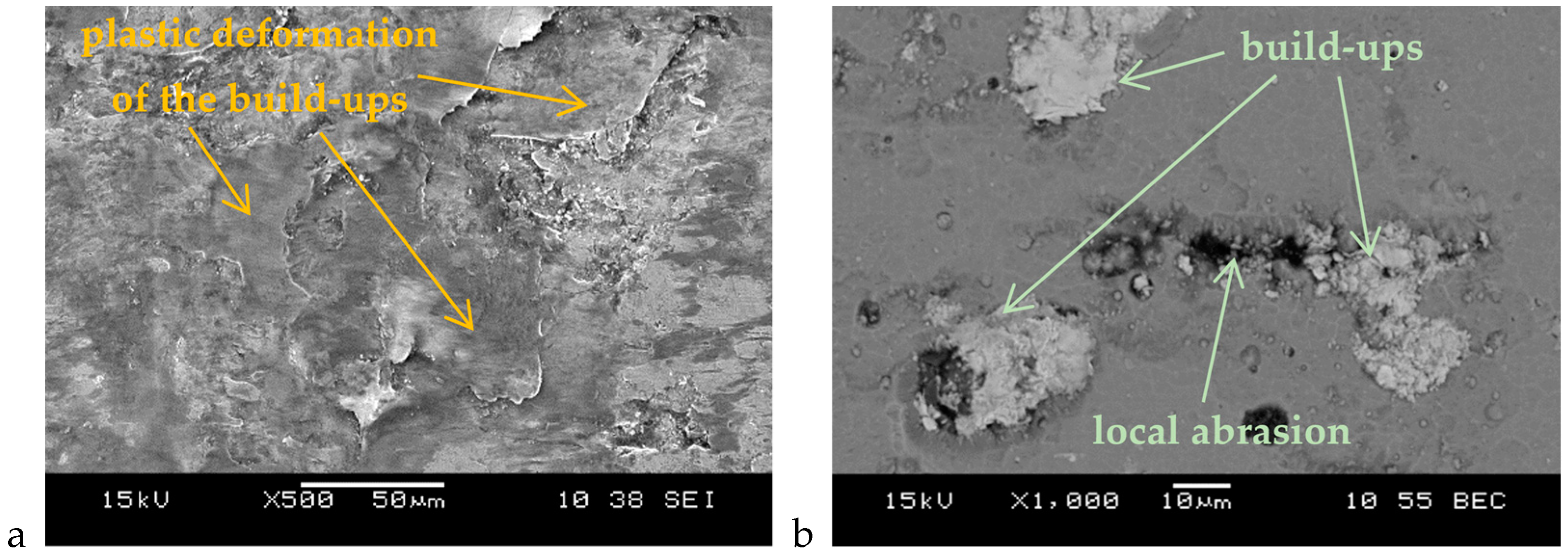 Coatings 14 00432 g005a