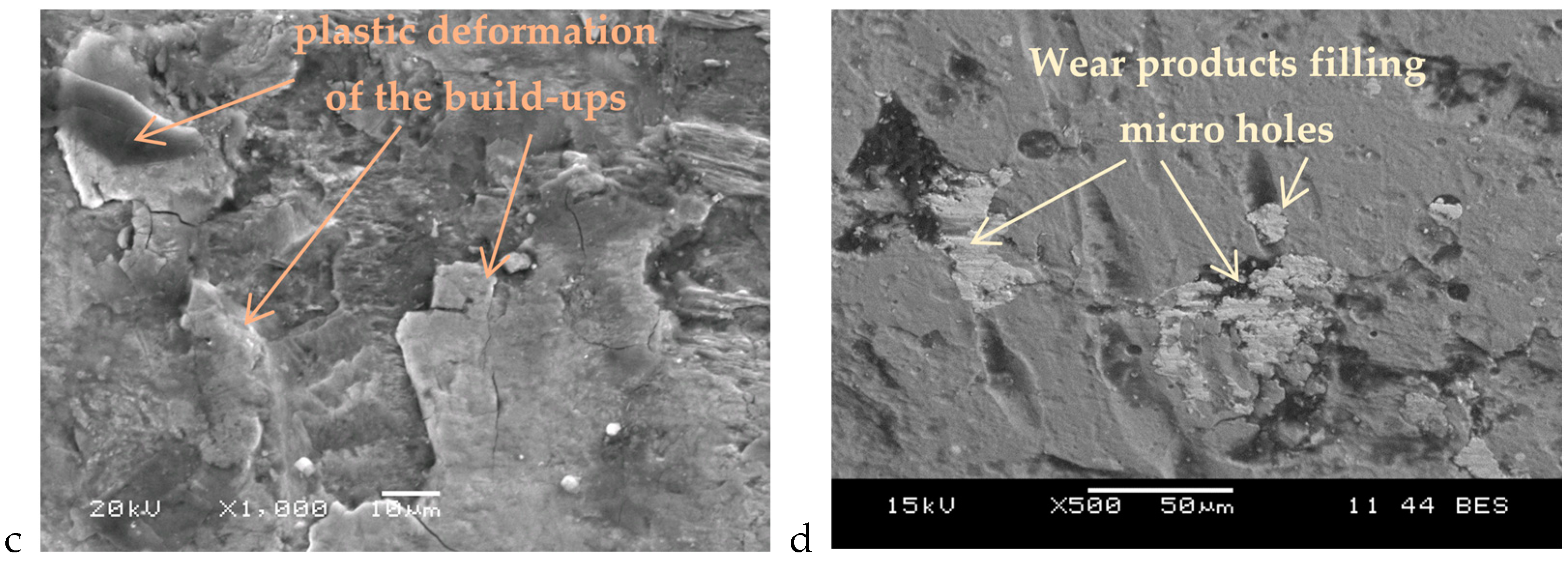 Coatings 14 00432 g005b
