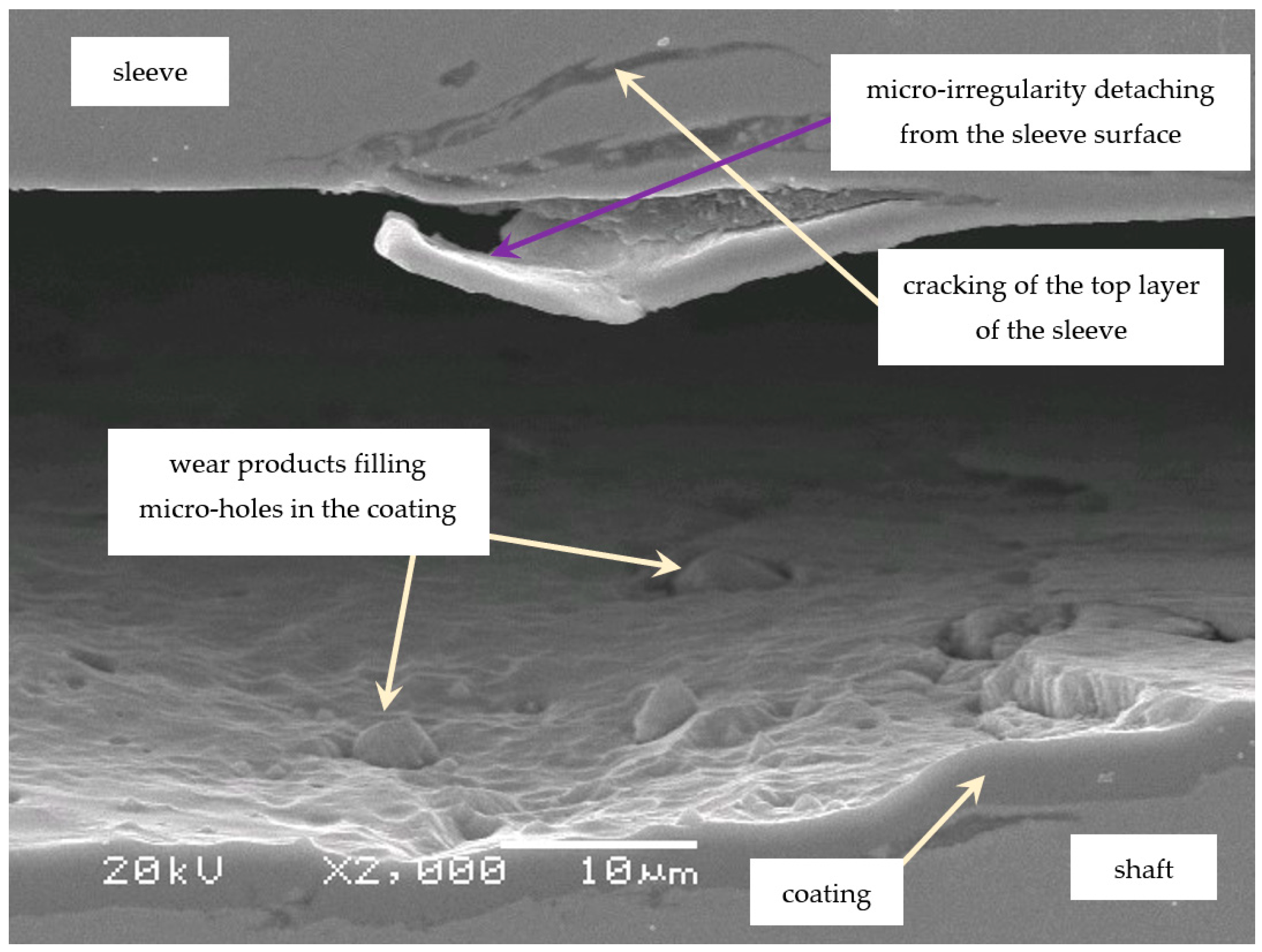 Coatings 14 00432 g006