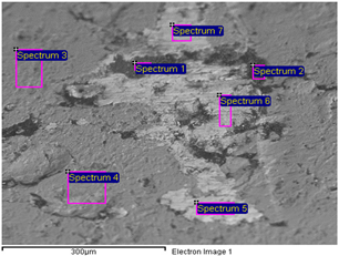 Coatings 14 00432 i027