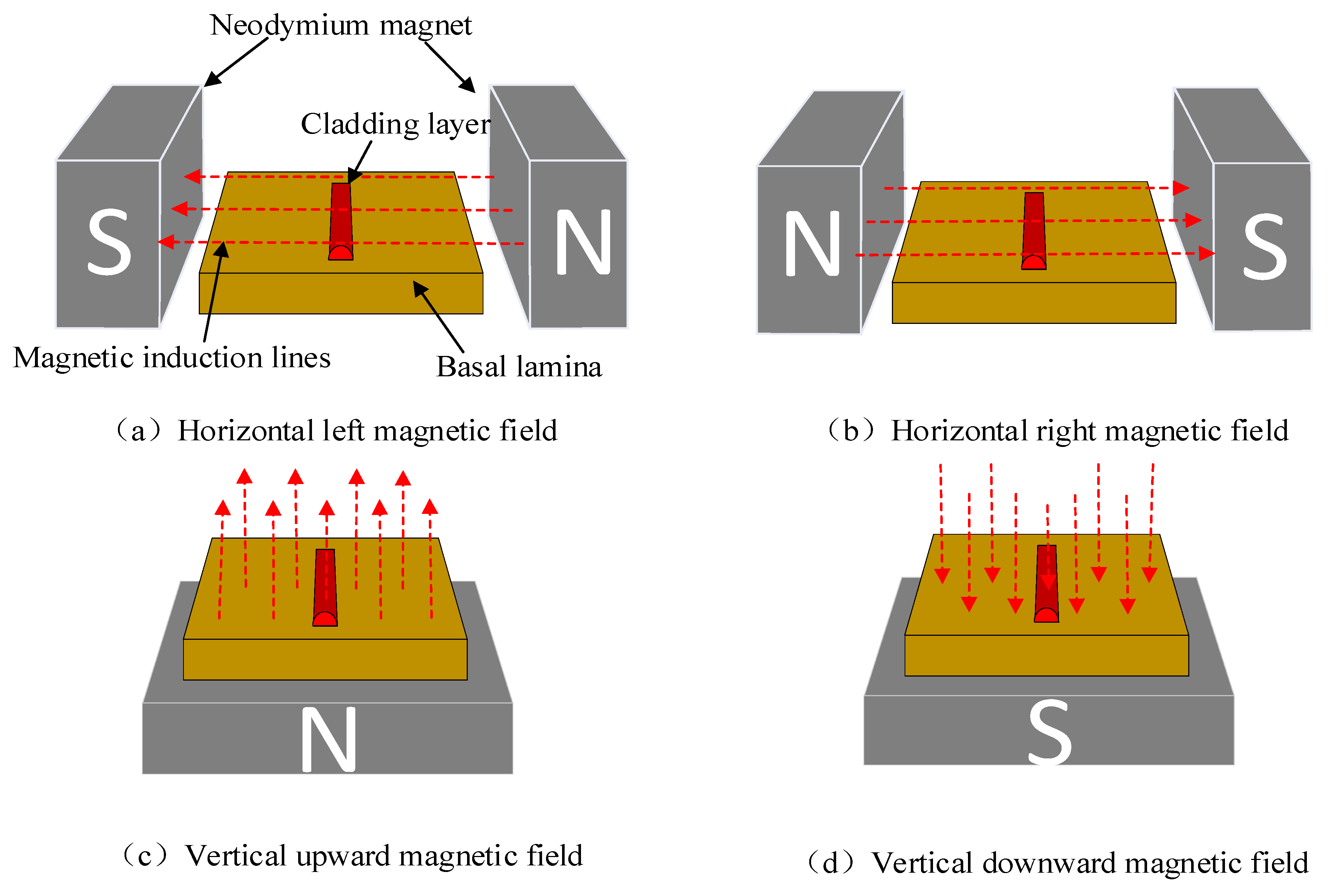 Coatings 14 00438 g002