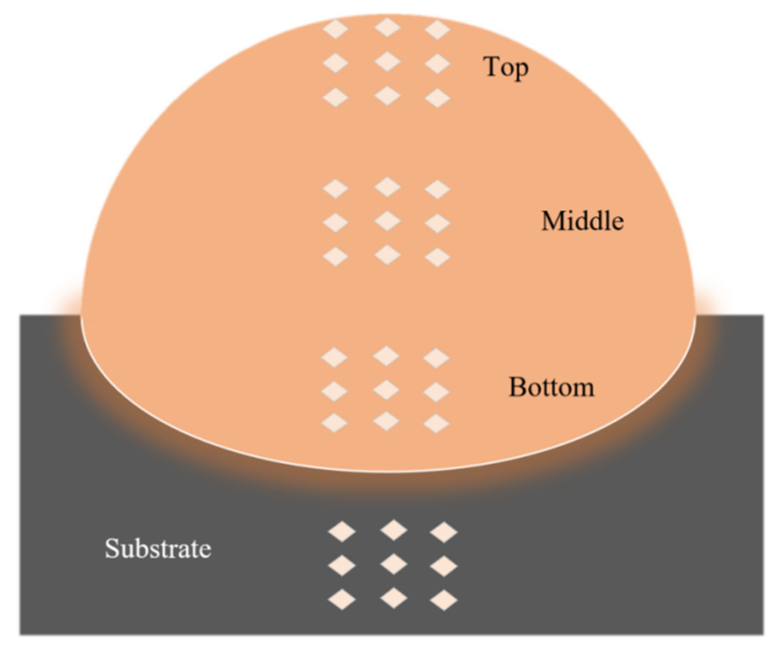 Coatings 14 00438 g003