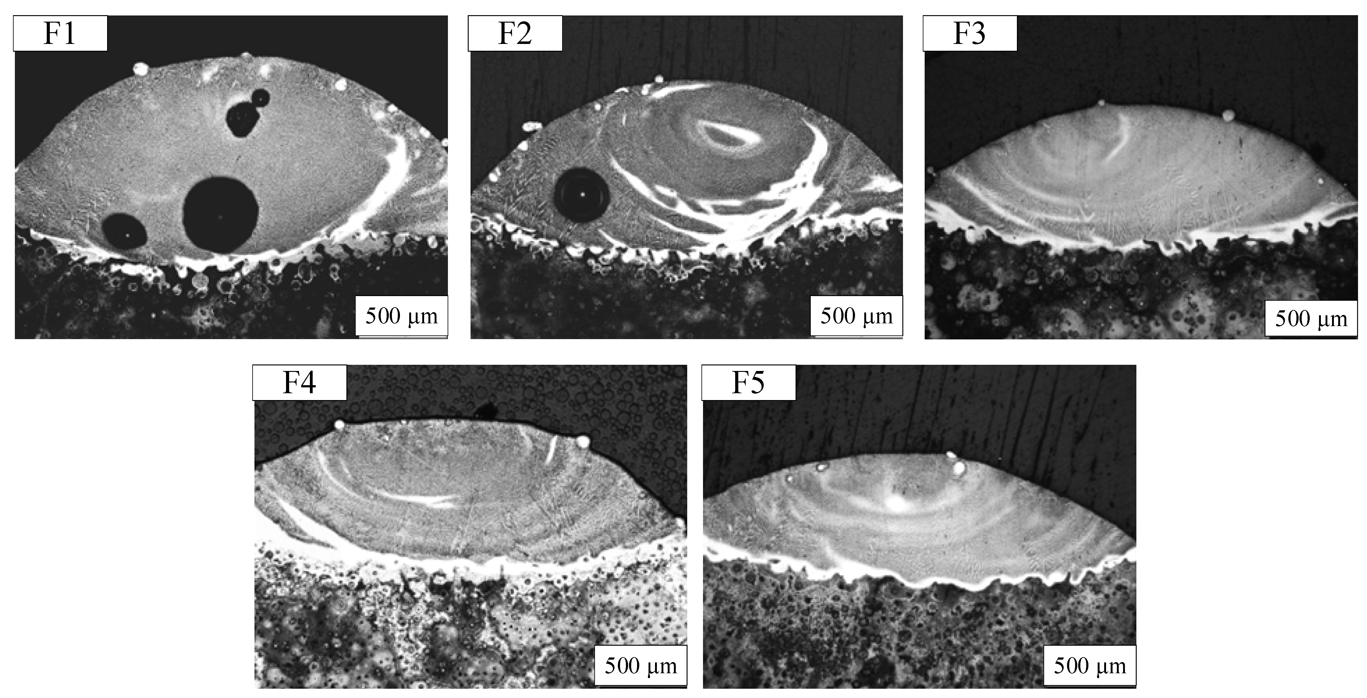 Coatings 14 00438 g004