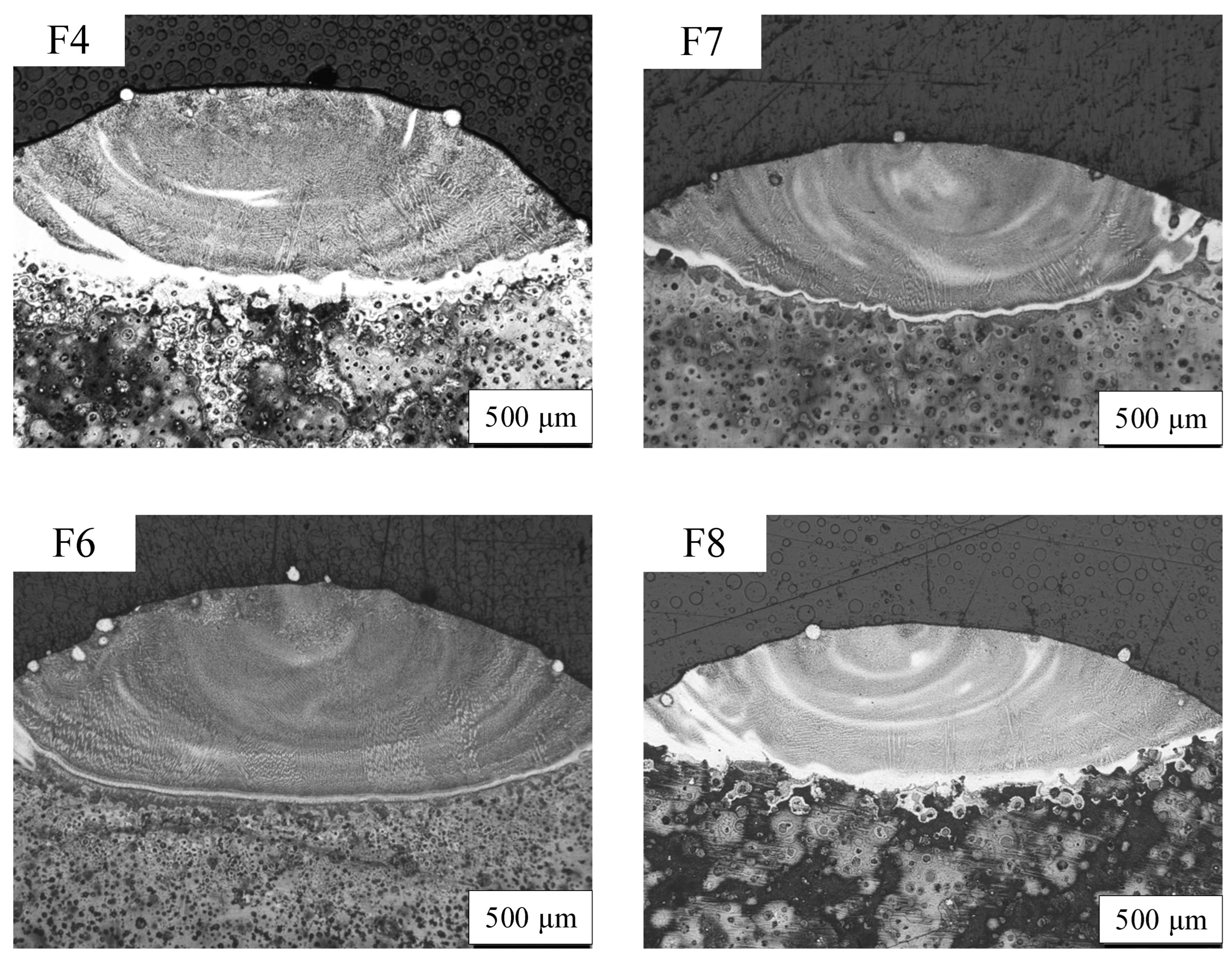 Coatings 14 00438 g006