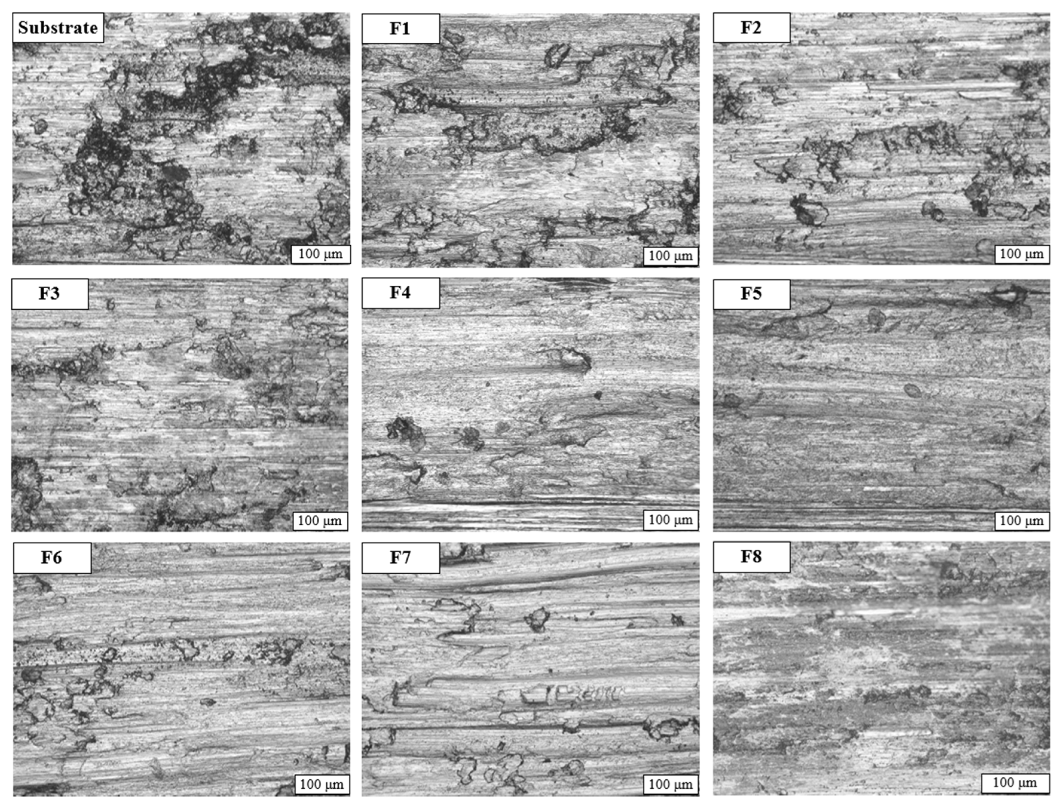 Coatings 14 00438 g013
