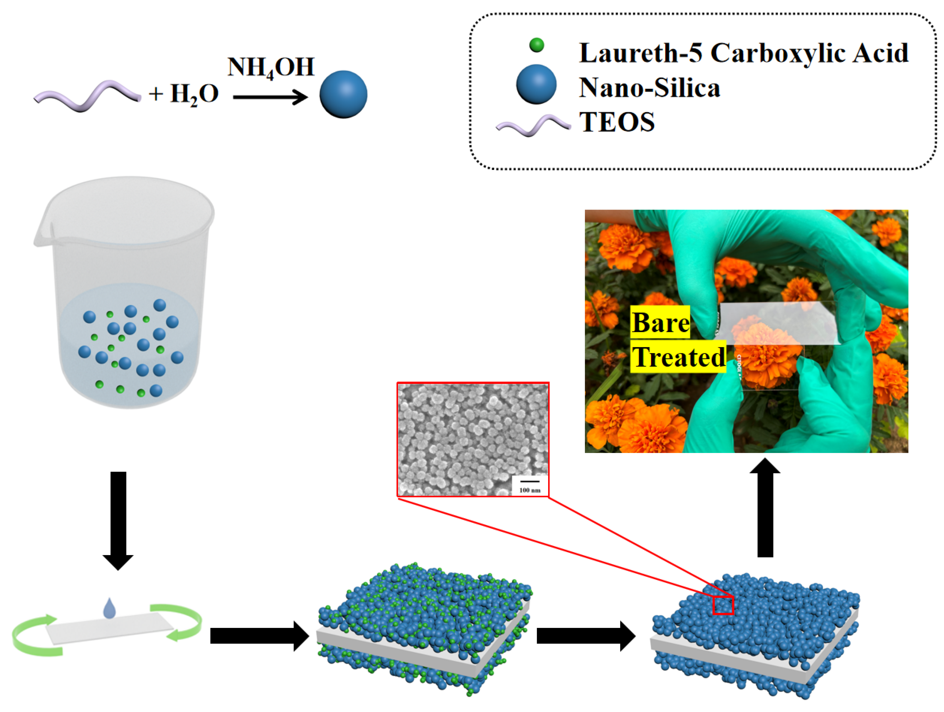 Coatings 14 00440 g001