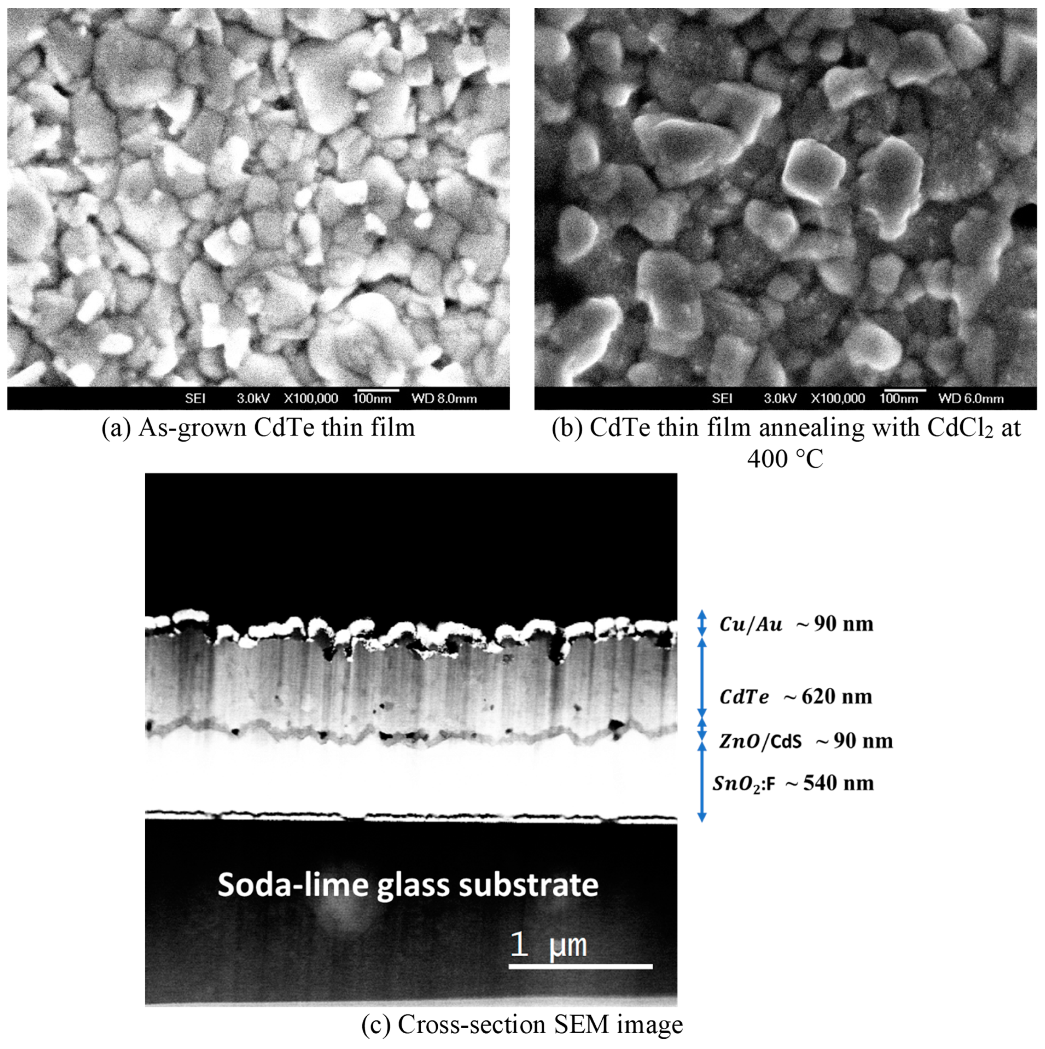 Coatings 14 00452 g005