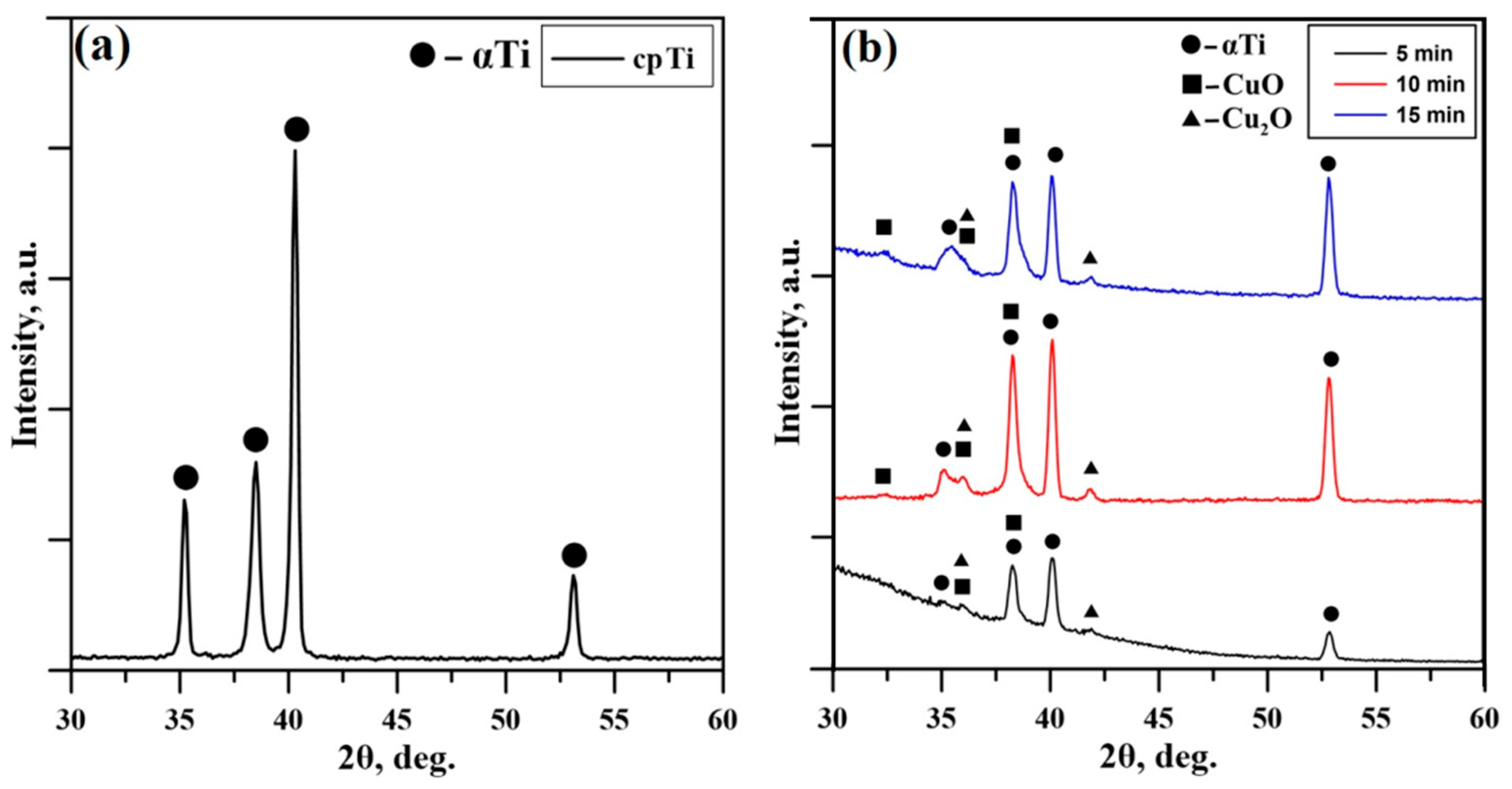 Coatings 14 00455 g002