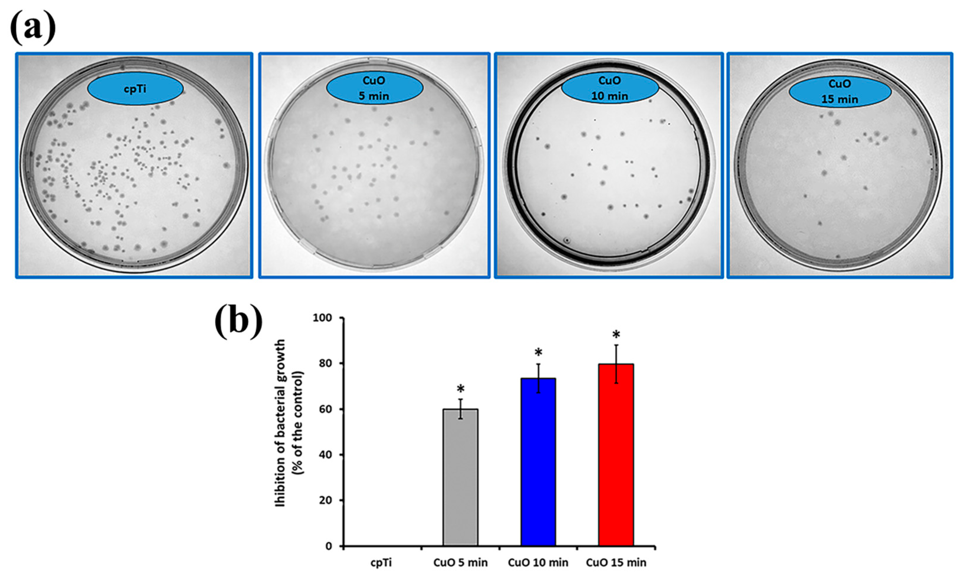 Coatings 14 00455 g006