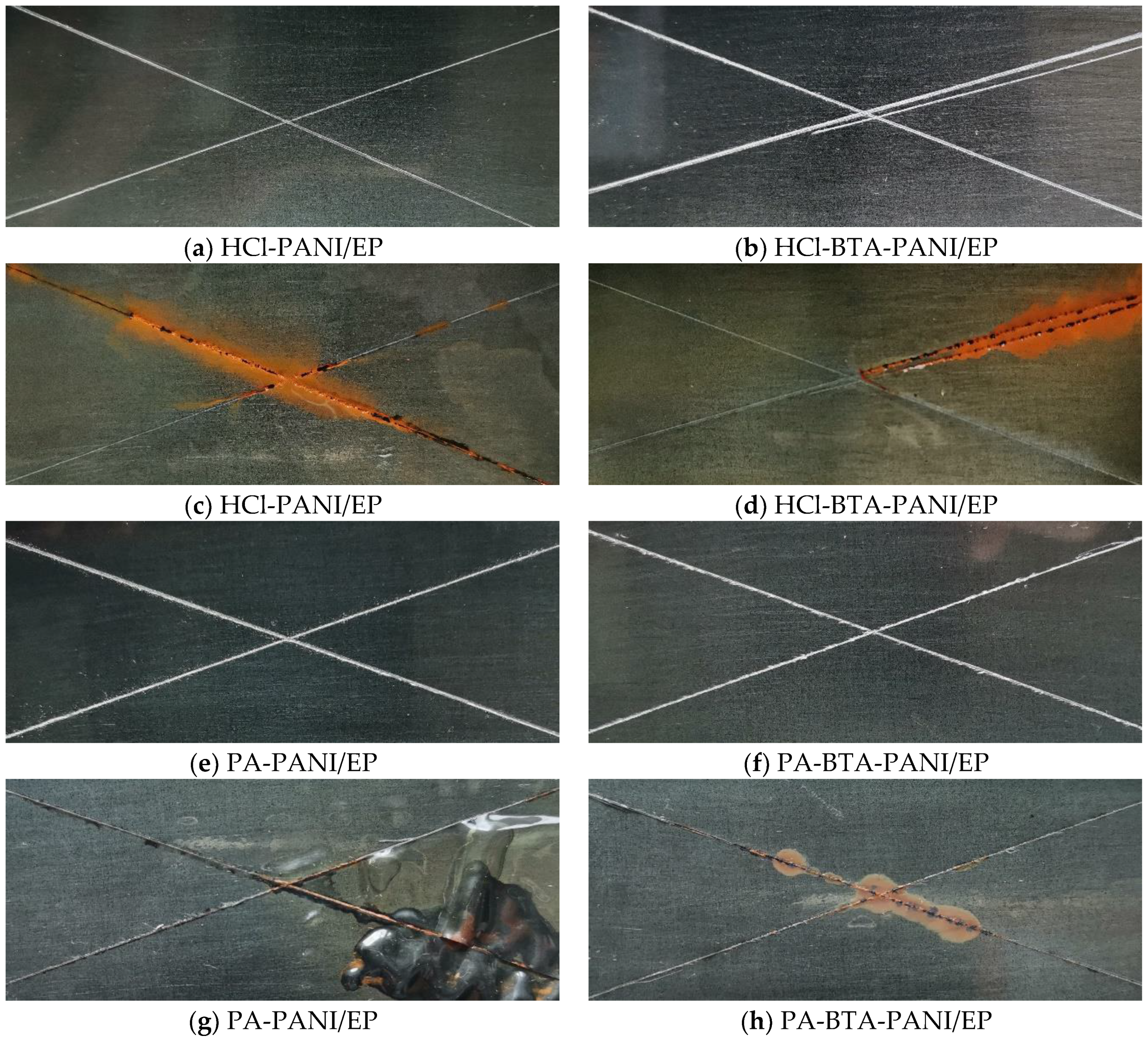 Coatings 14 00456 g009