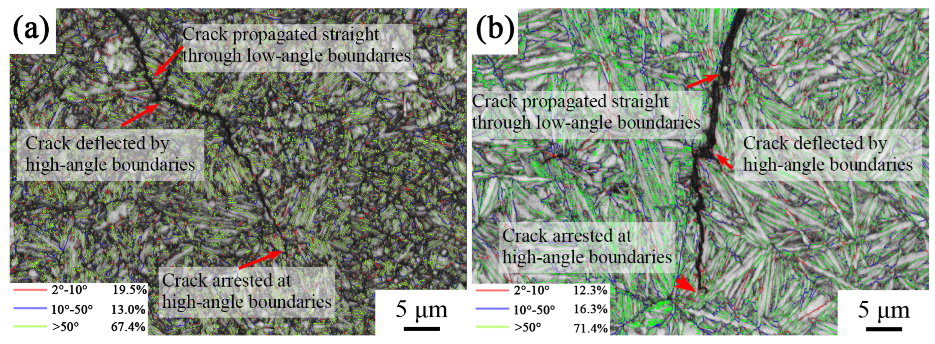 Coatings 14 00457 g010
