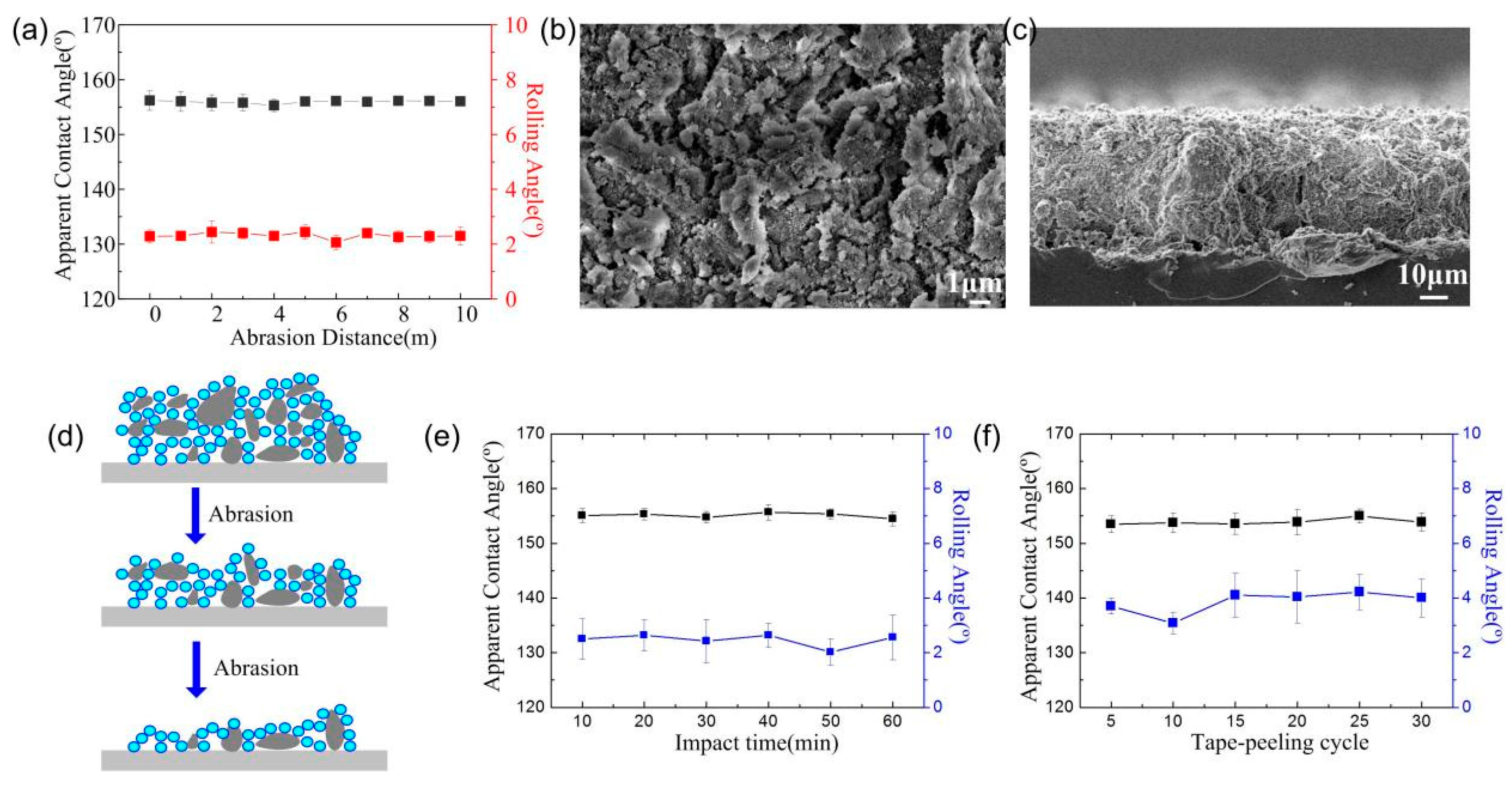 Coatings 14 00463 g002