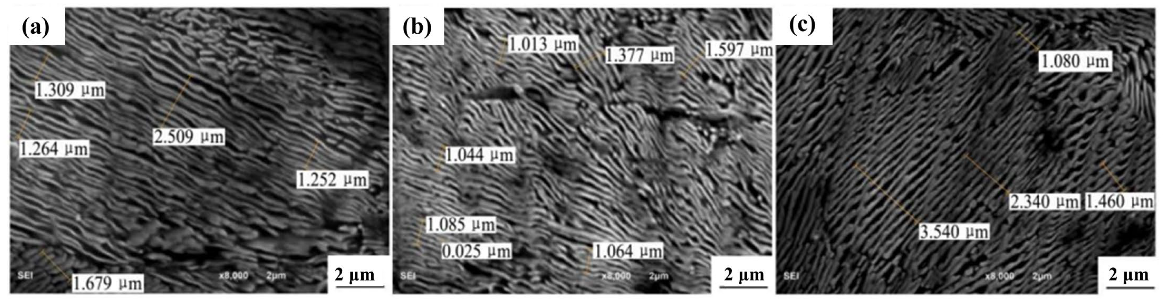 Coatings 14 00465 g003