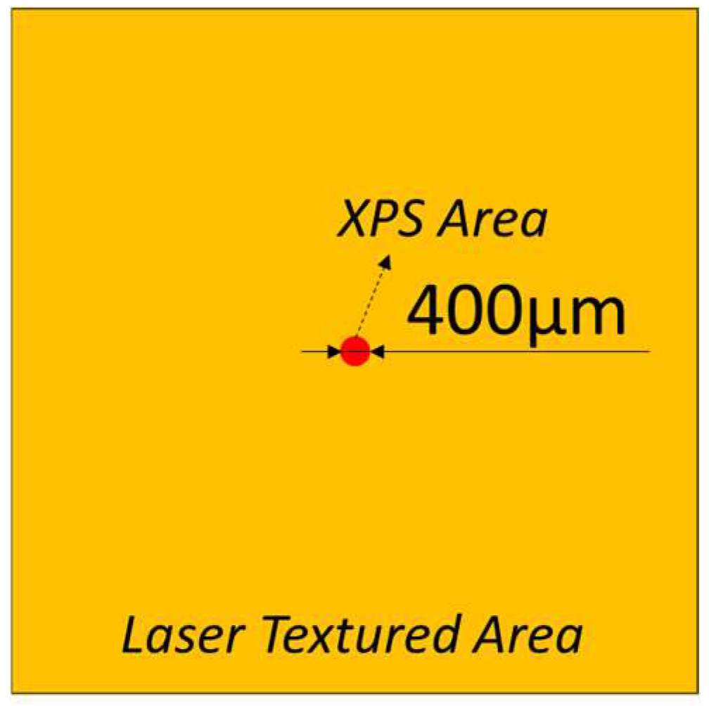 Coatings 14 00467 g003