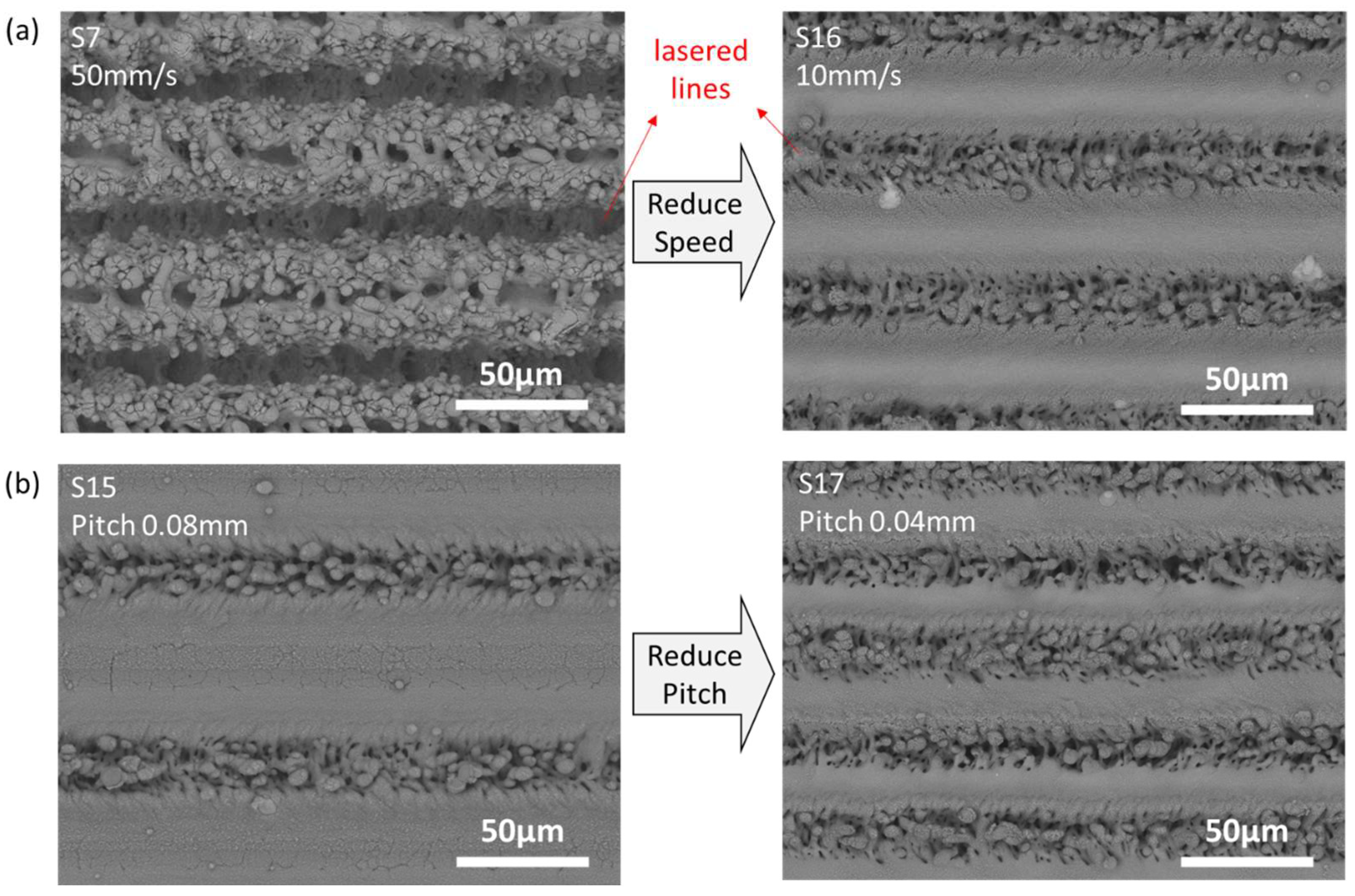 Coatings 14 00467 g010
