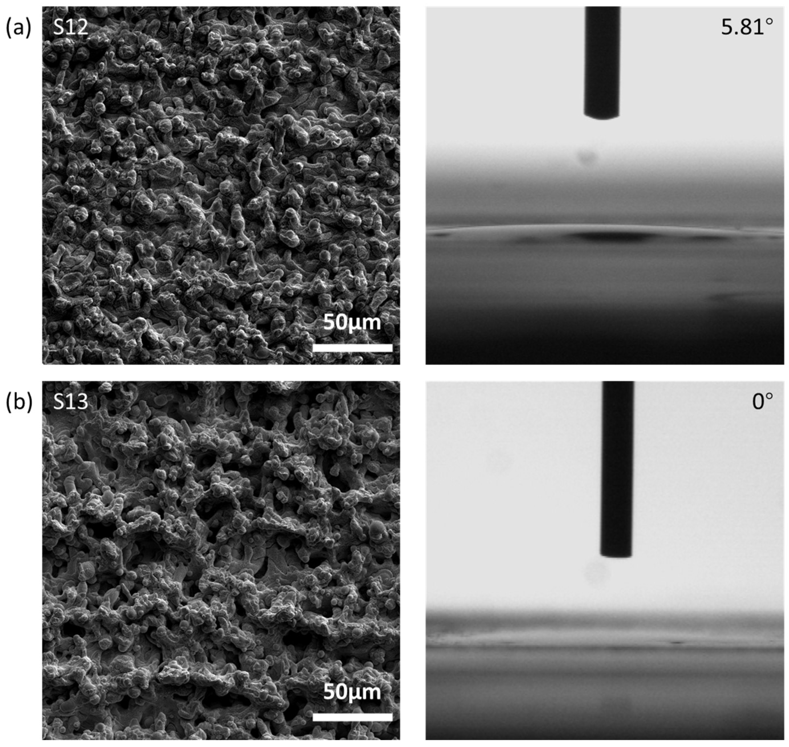 Coatings 14 00467 g027