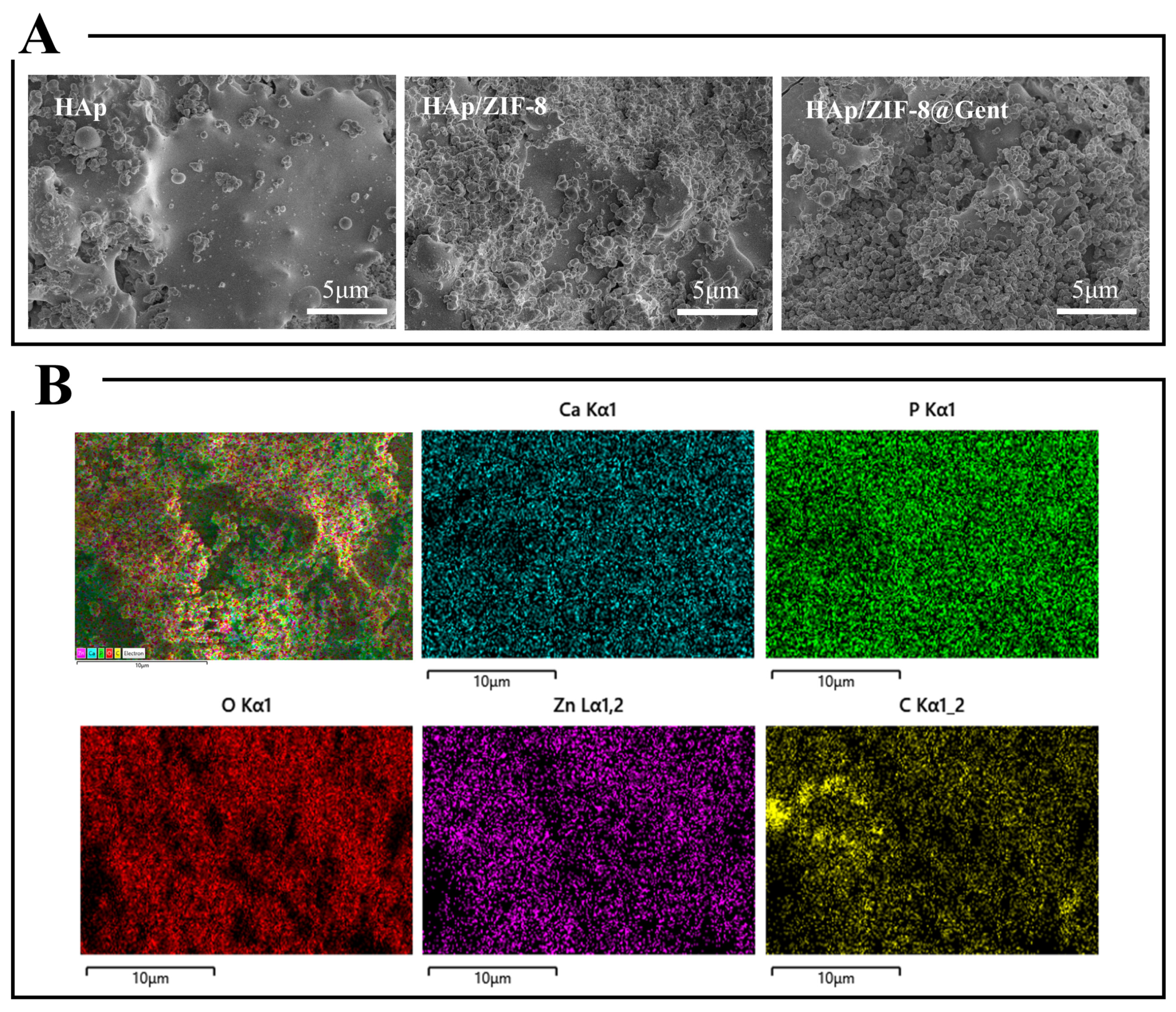 Coatings 14 00477 g001 Coatings 14 00477 g001