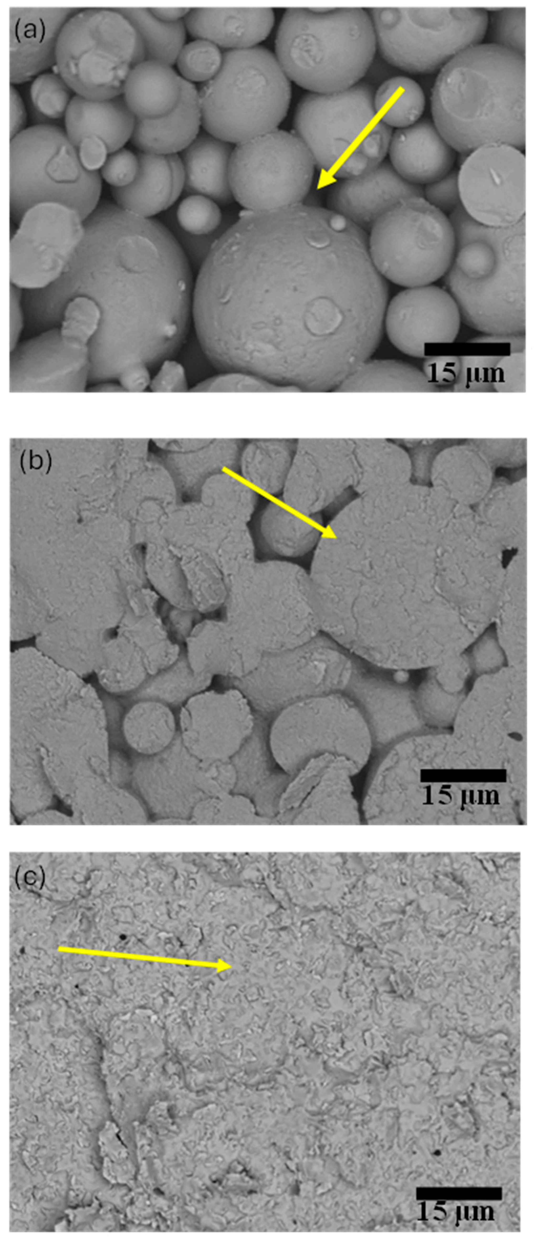 Coatings 14 00479 g009