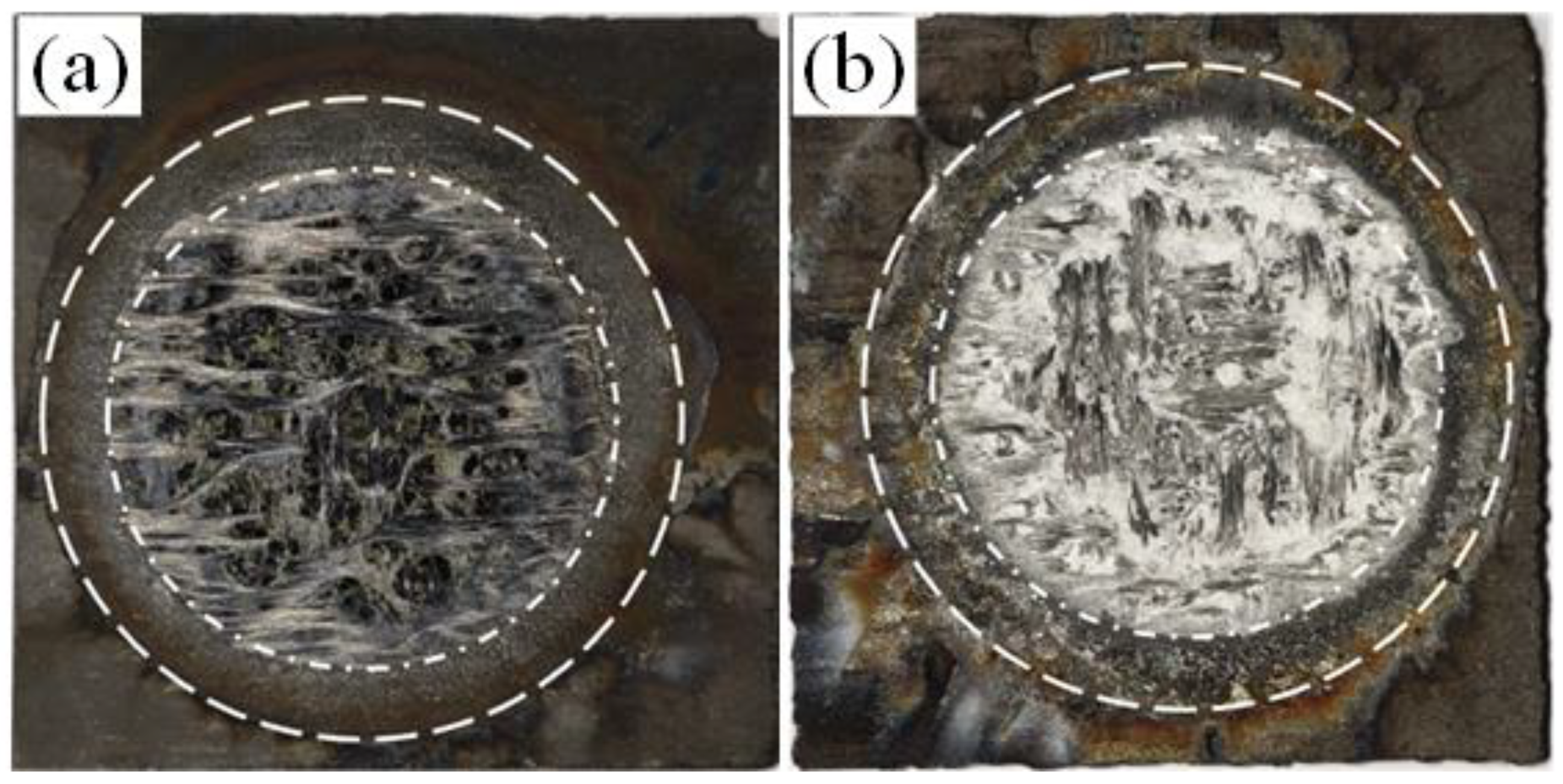 Coatings 14 00480 g003