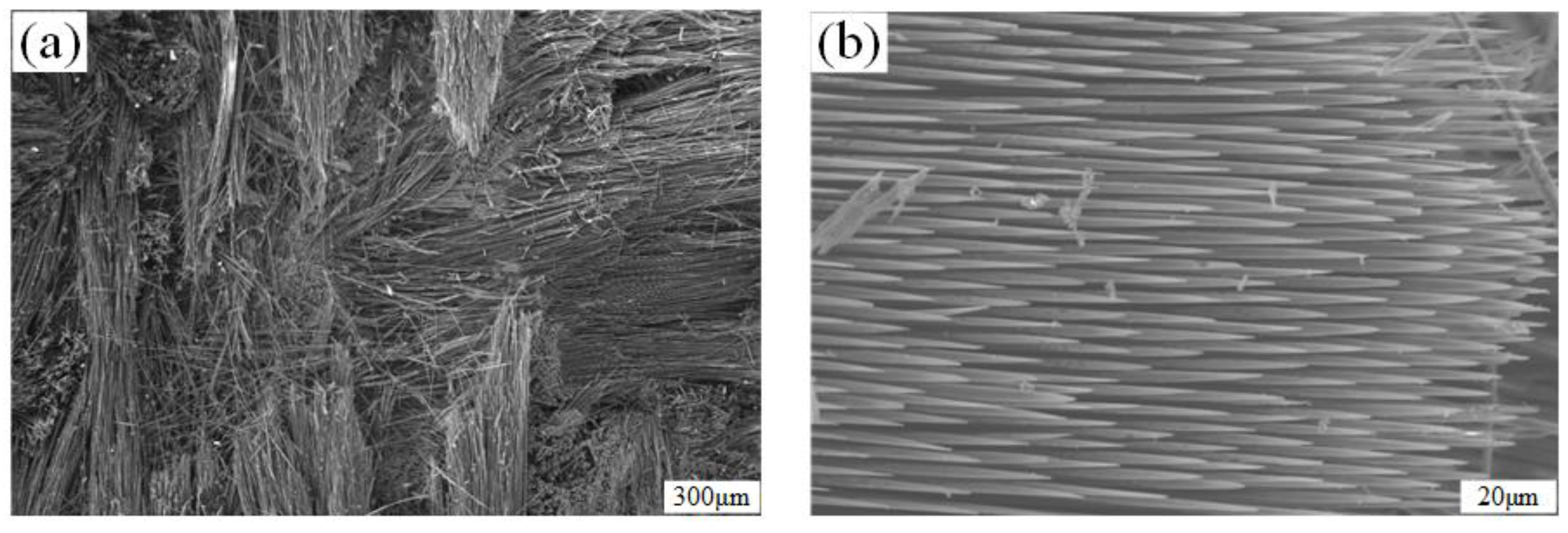 Coatings 14 00480 g009
