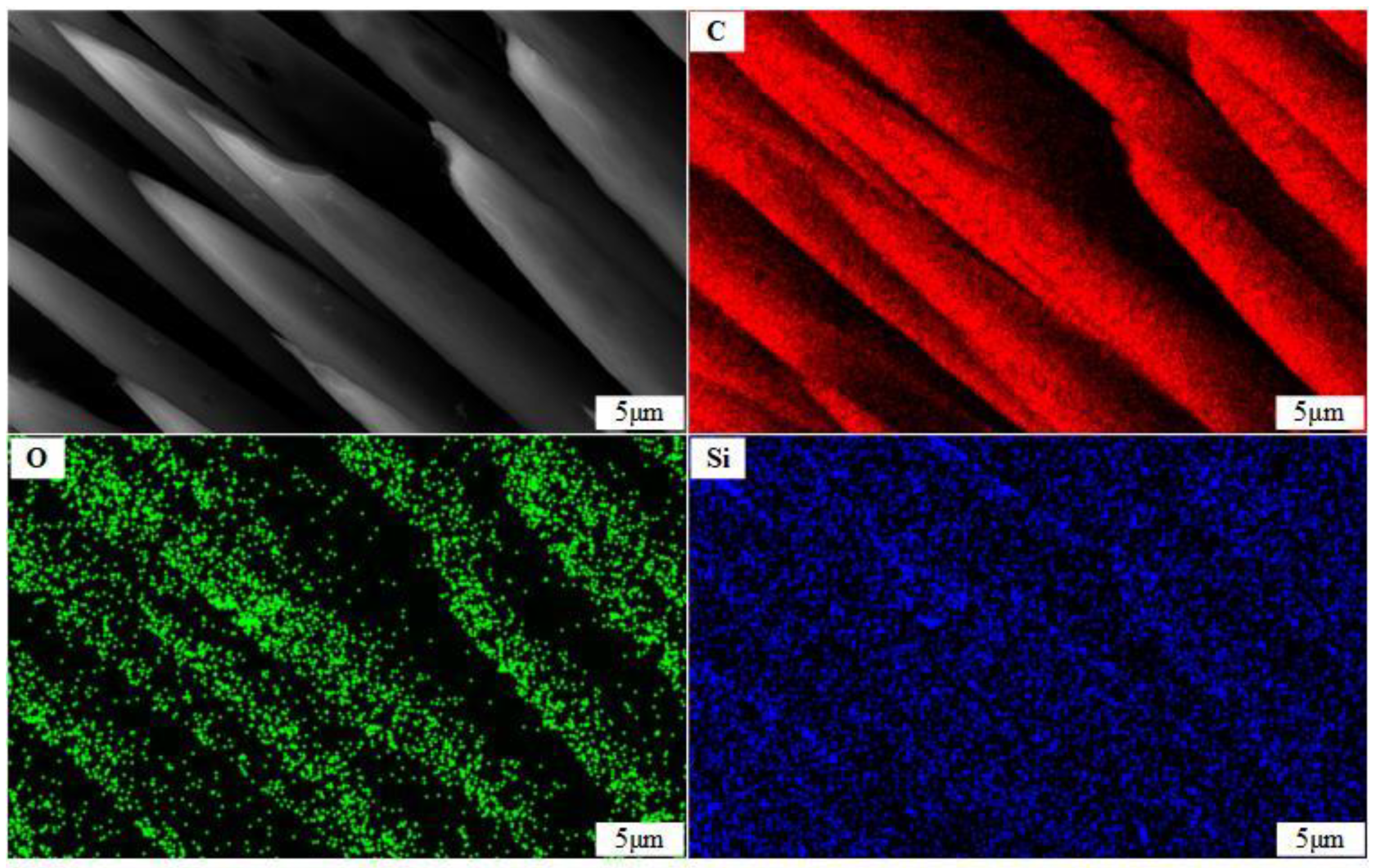 Coatings 14 00480 g010