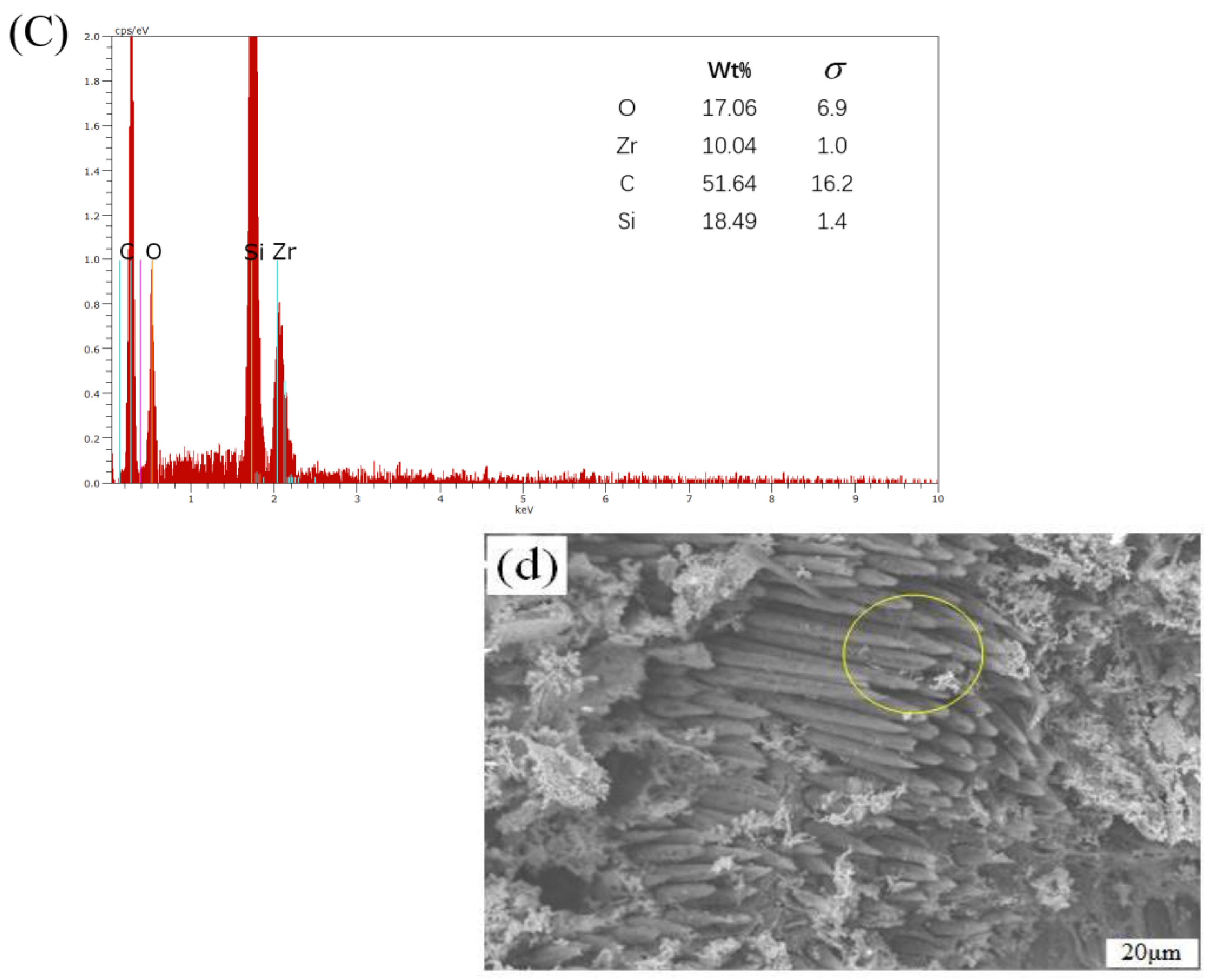Coatings 14 00480 g013b