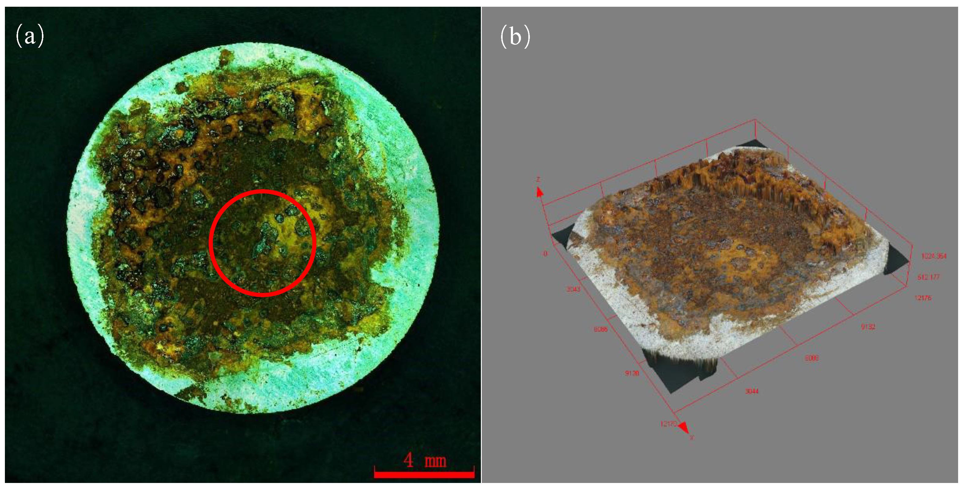 Coatings 14 00491 g009