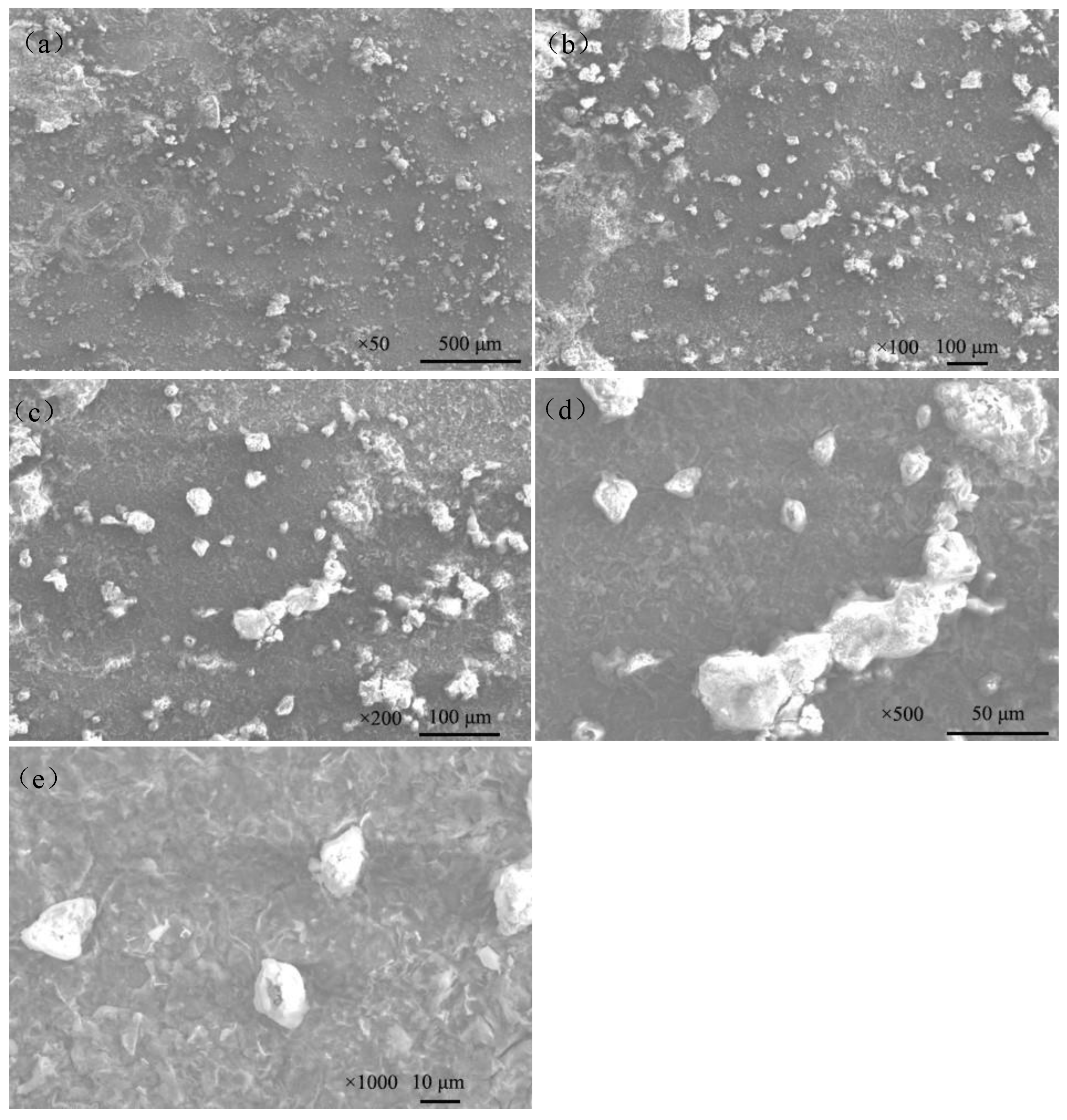 Coatings 14 00491 g010