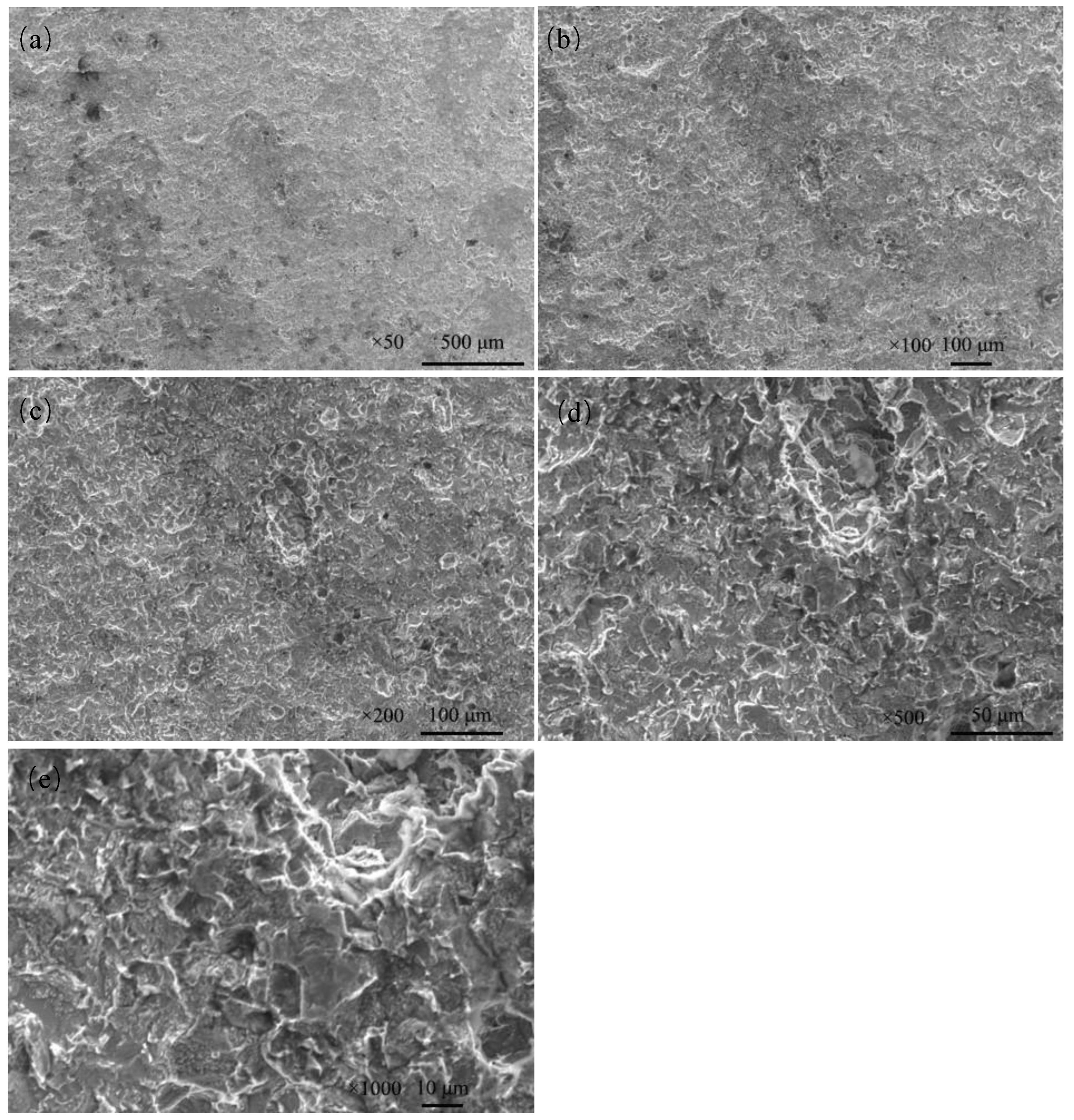 Coatings 14 00491 g012