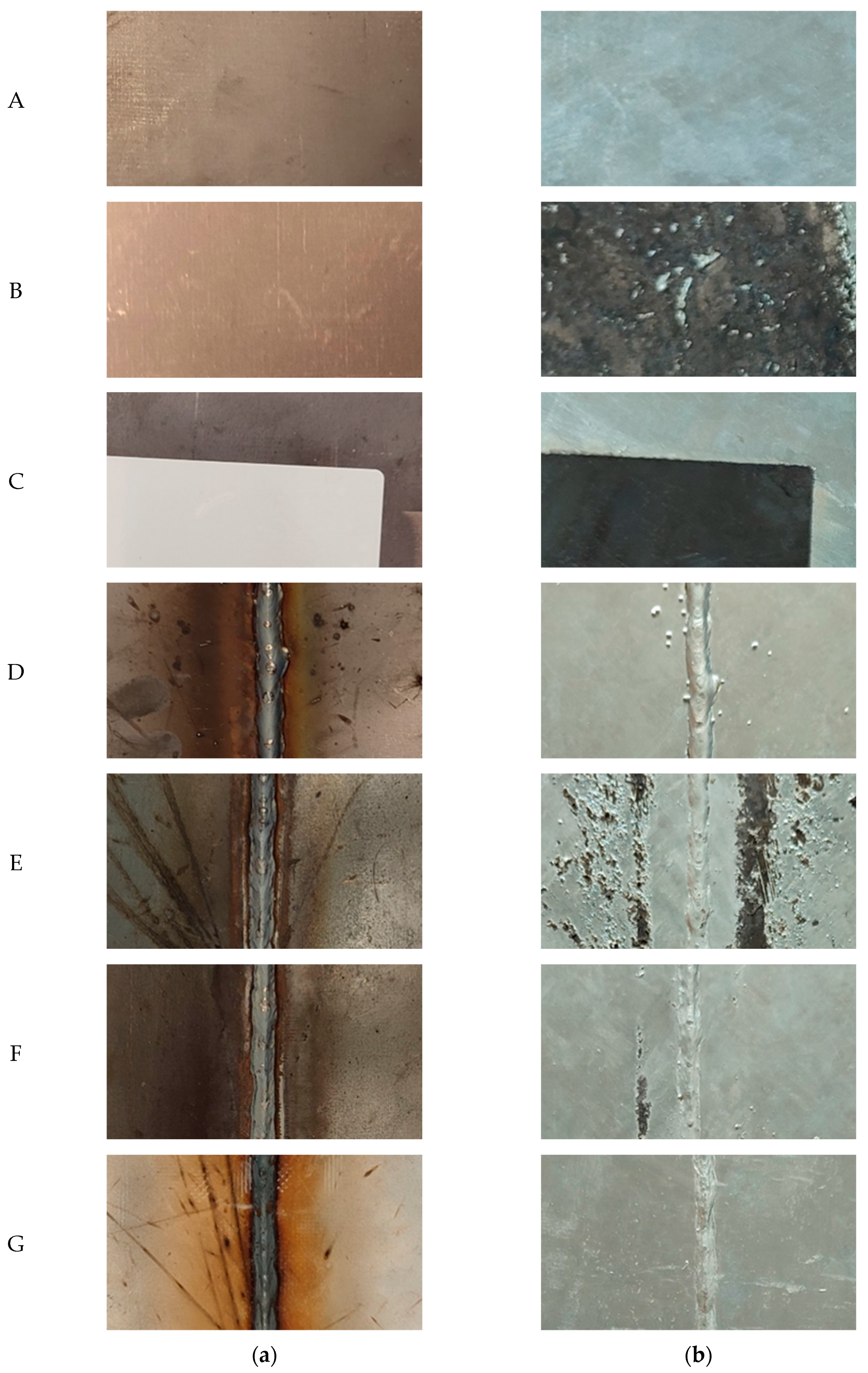 Coatings 14 00493 g004