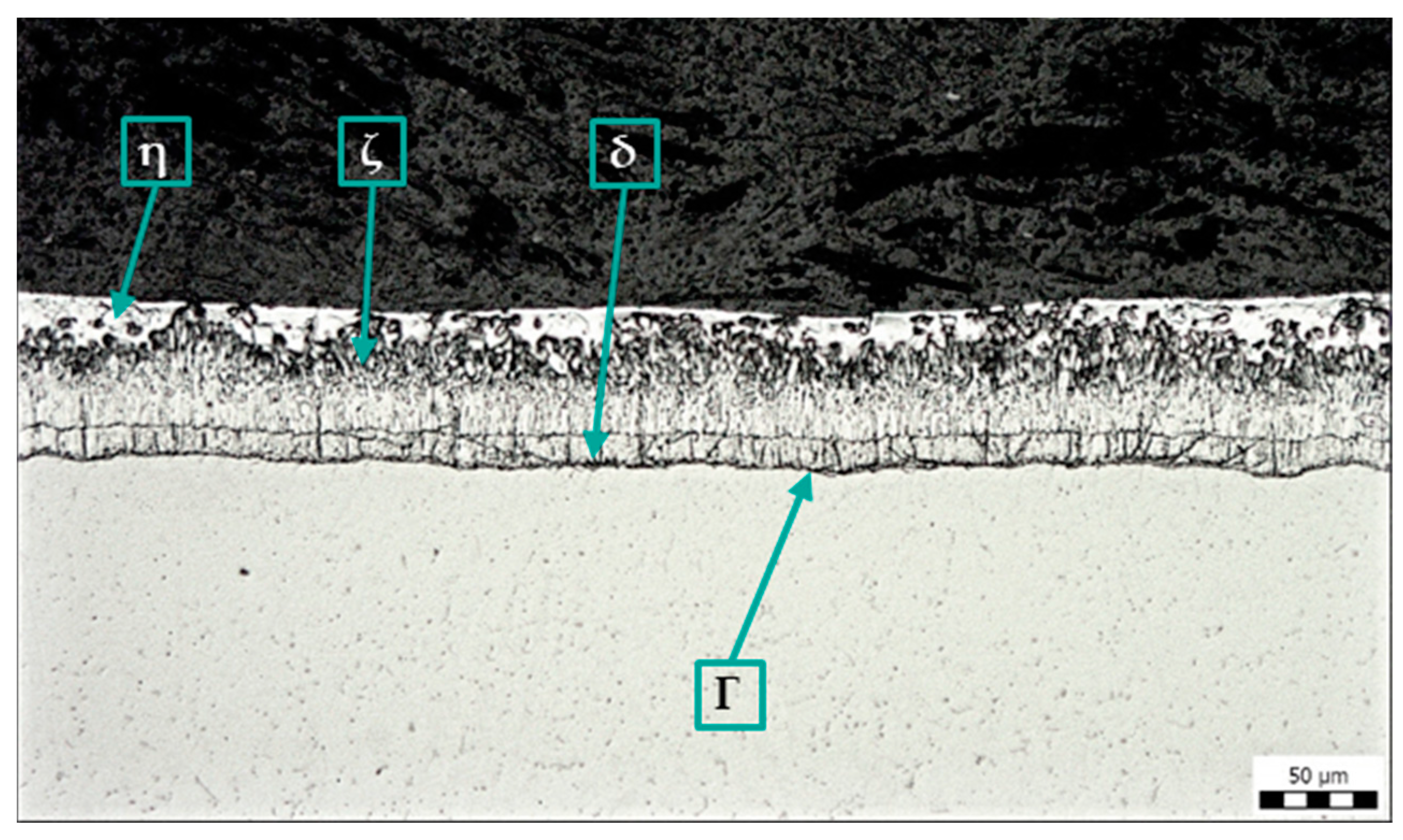 Coatings 14 00493 g005