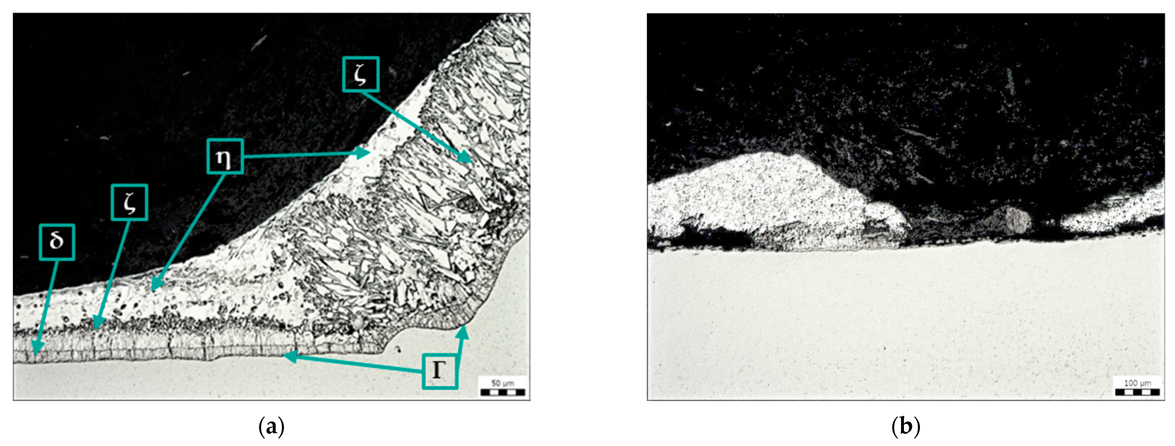 Coatings 14 00493 g010